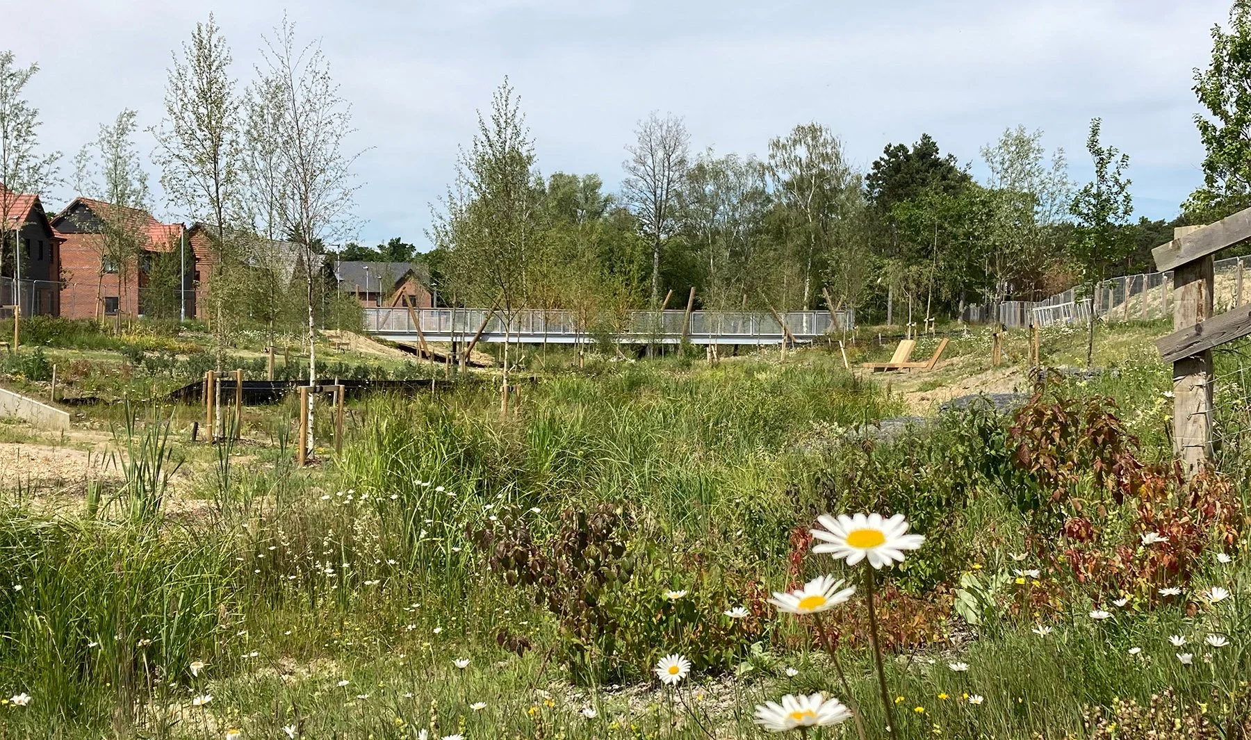 Buckler’s Park, Crowthorne - macgregor smith 12.jpg