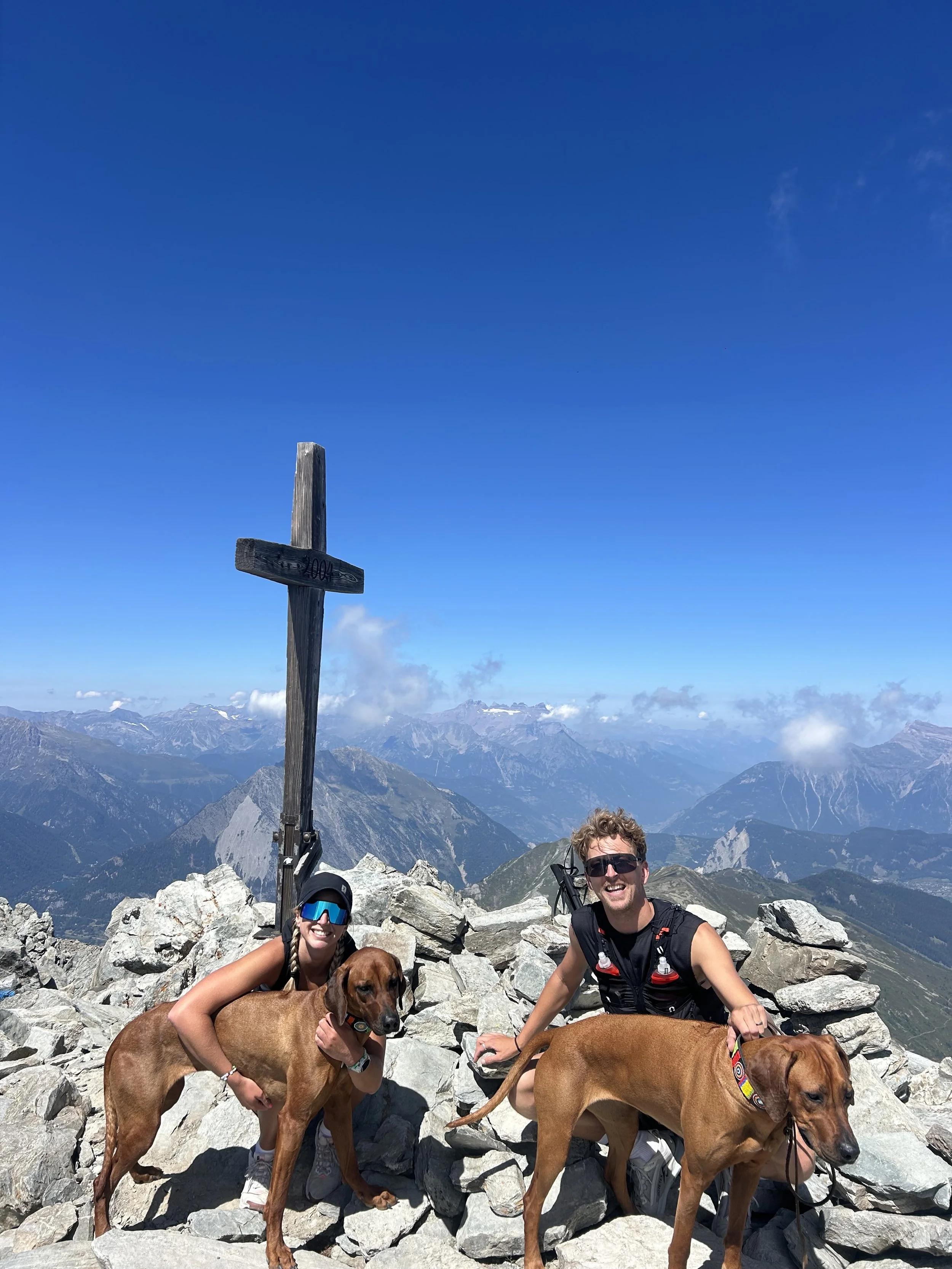 Two hikers with two dogs on a mountain peak with a signpost, rocky terrain, and a mountain range in the background under a blue sky.