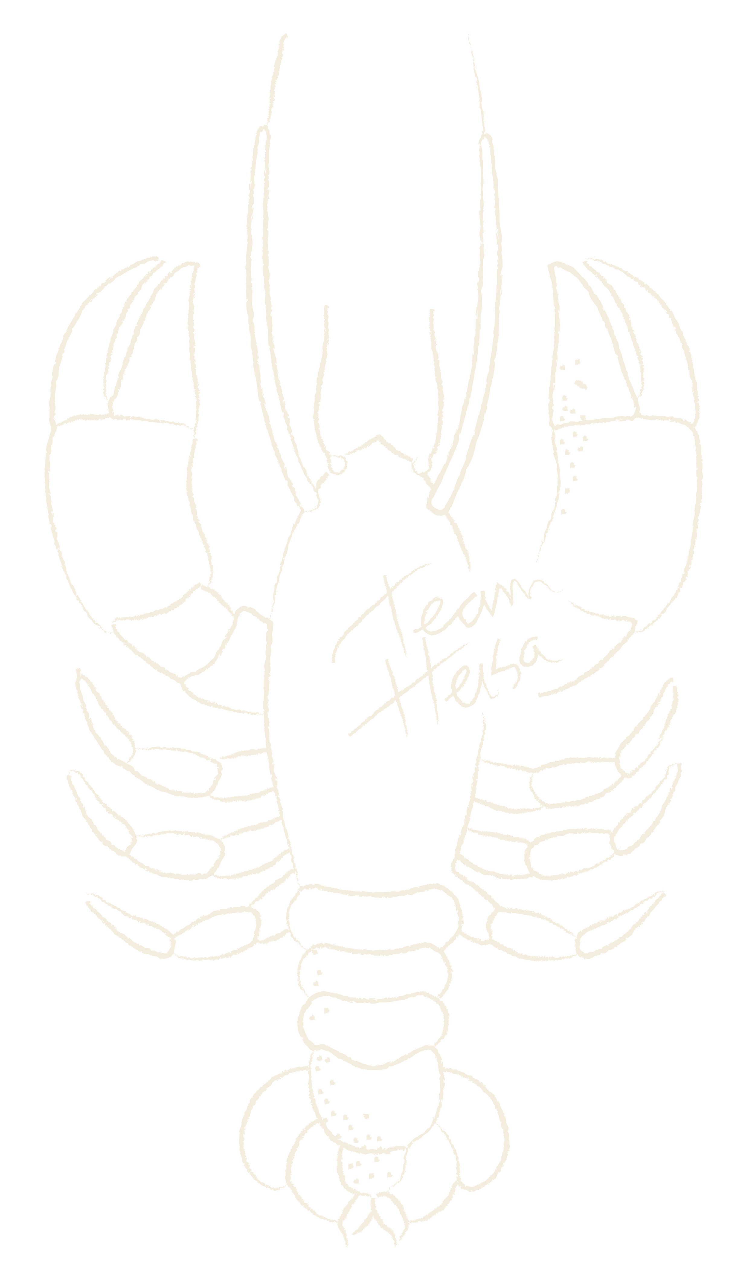 Een witte lijntekening van een kreeft met daarnaast de tekst 'Team Heisa' in handgeschreven letters.
