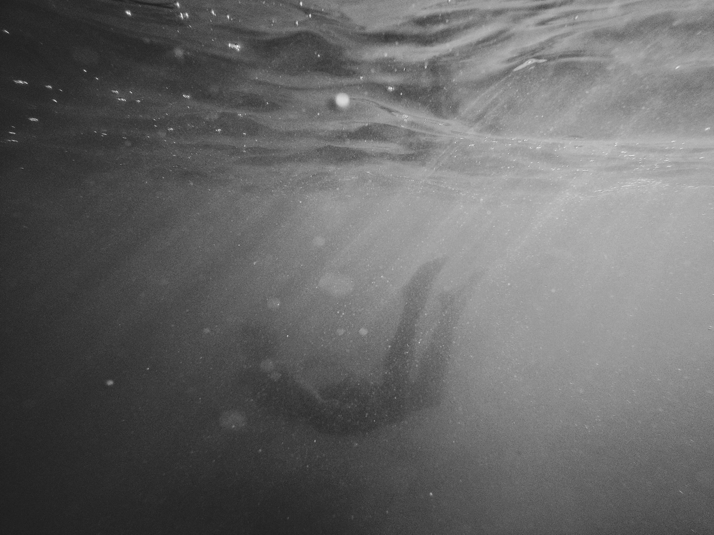 unsplash-image-Wg6US8cp88I.jpg
