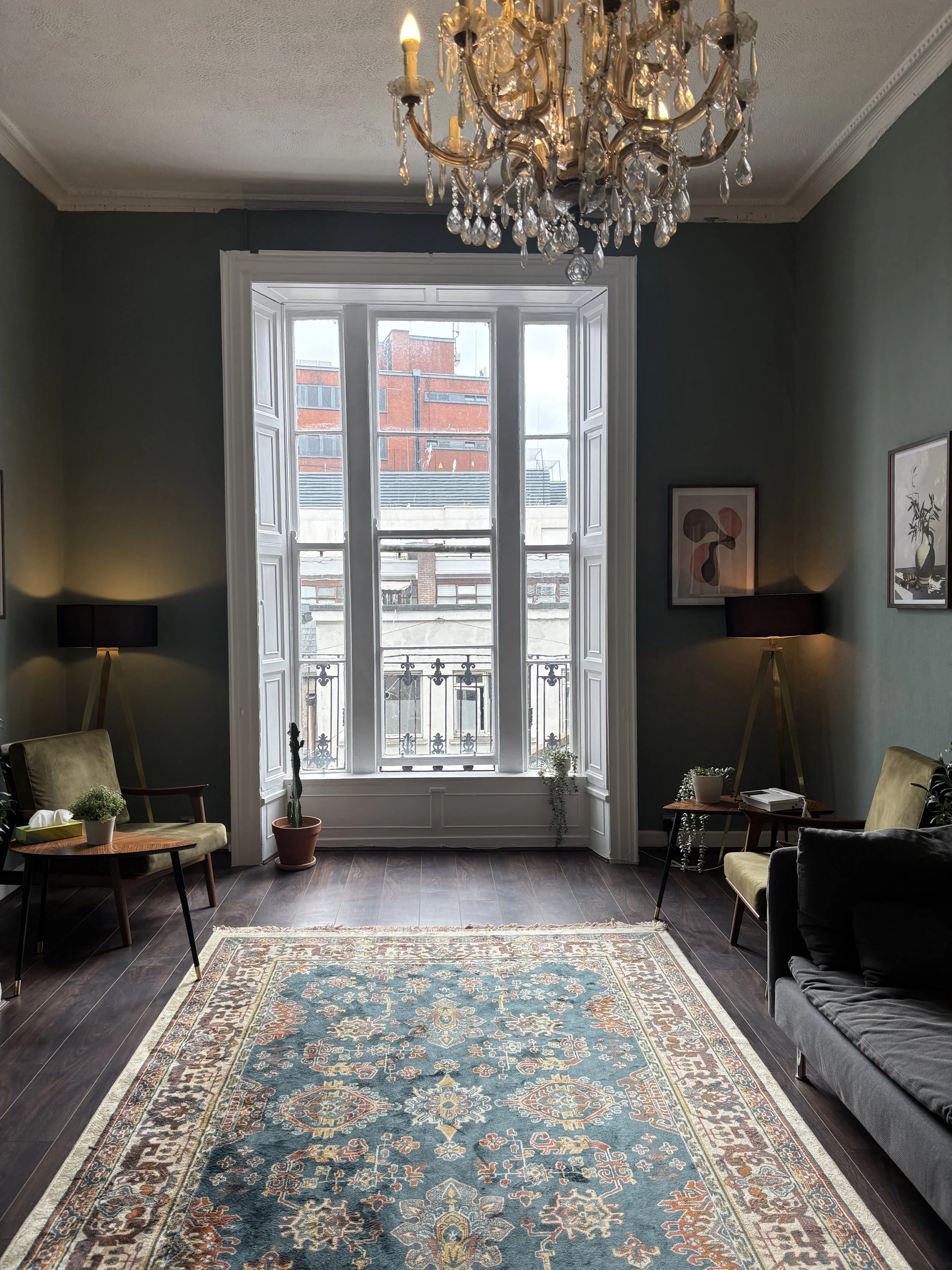 Psychotherapy Room