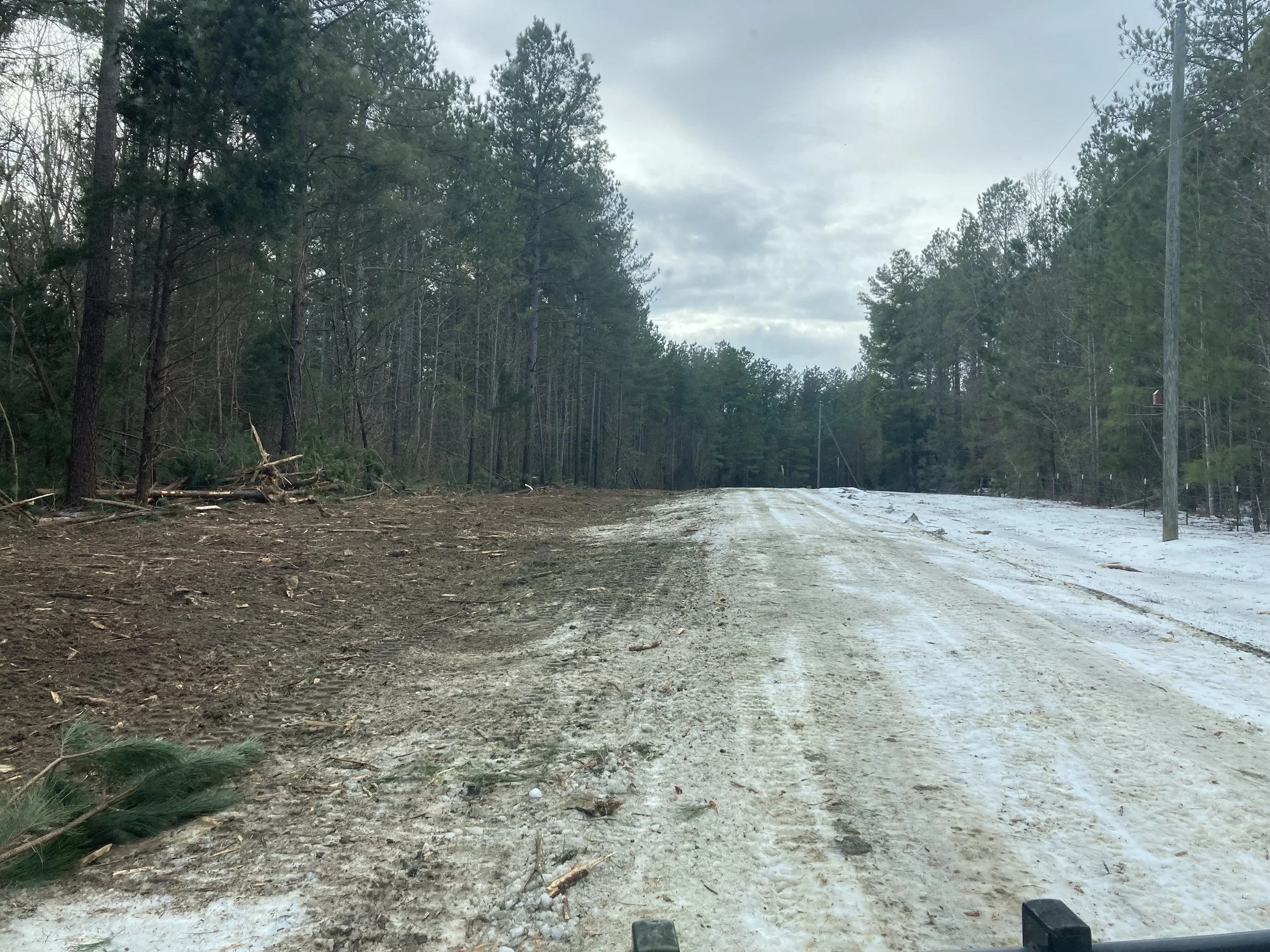 A dirt and snow-covered rural road through a forest of pine trees with some poles and power lines on the right side.