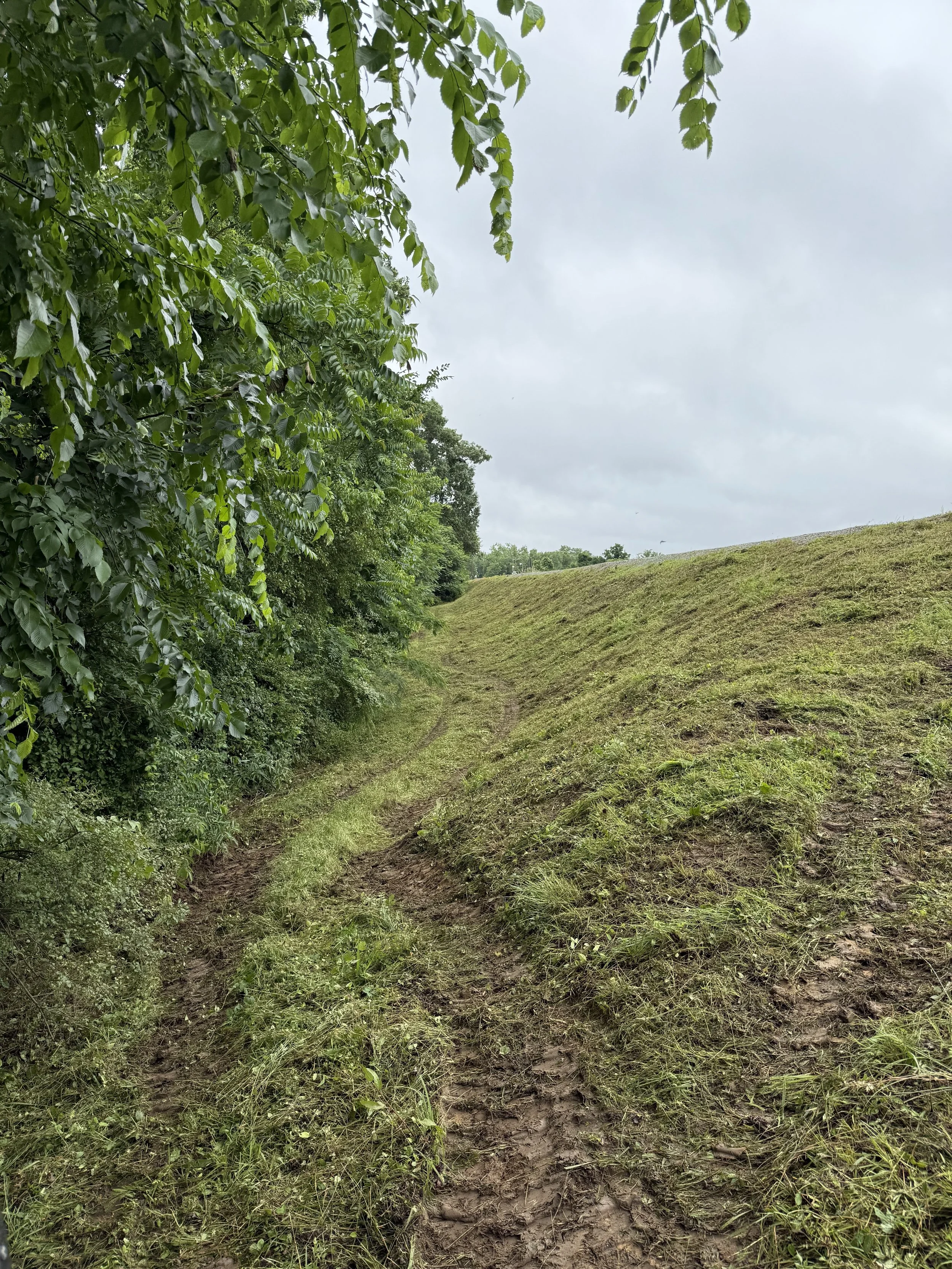 A dirt trail curves alongside a grassy hill on a cloudy day, with dense green foliage on the left.