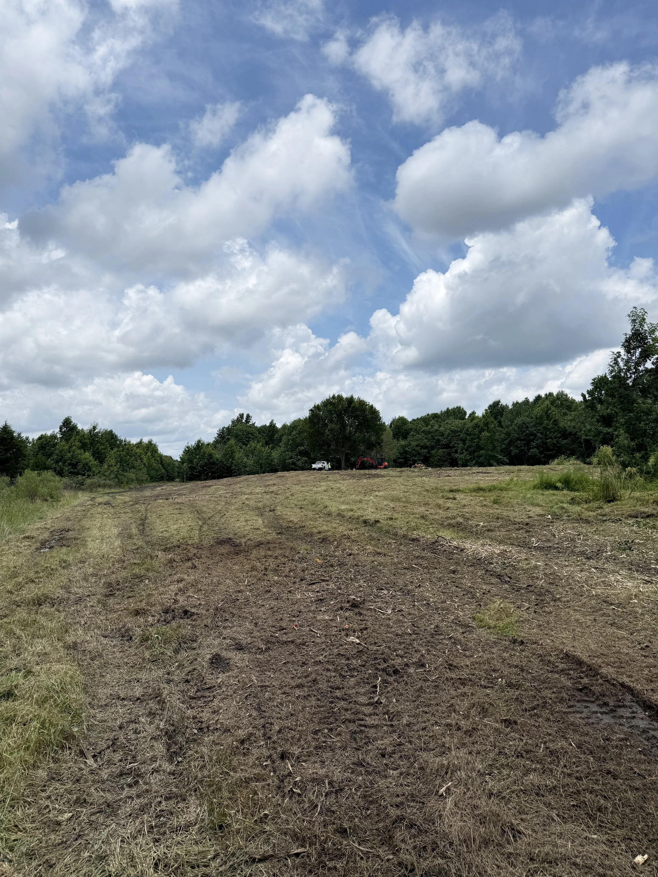 A rural landscape with a dirt trail leading to a small clearing, surrounded by green trees under a blue sky with scattered white clouds.