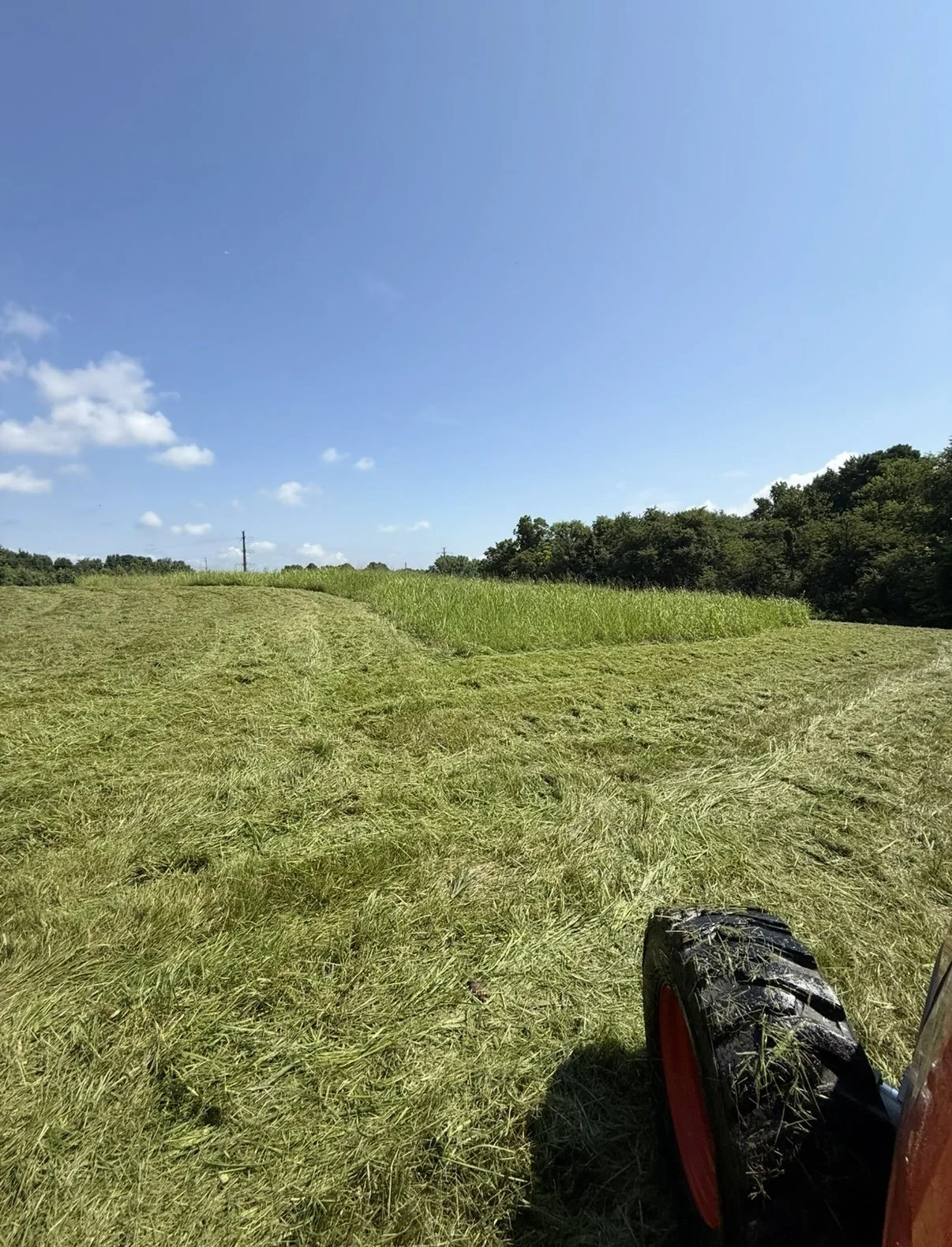 Open field with cut grass, tractor tire visible in the bottom right corner, blue sky with some clouds, trees in the background.