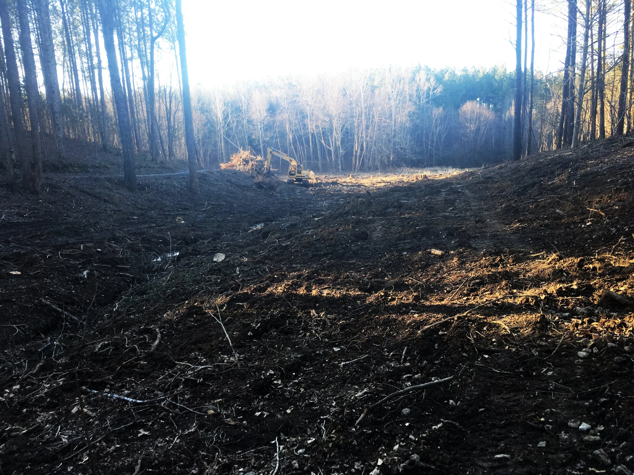 A cleared area in a forest with a small excavator working, surrounded by tall trees, some with bare branches, in a rural setting.