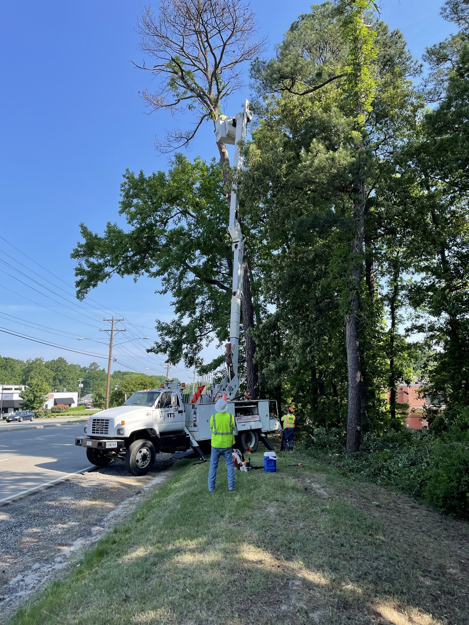 Utility workers in safety vests and helmets are working on a street-side tree using a bucket lift truck. One worker is in the bucket trimming a high tree branch, while others are on the ground near the truck, which is parked on the grassy verge besid