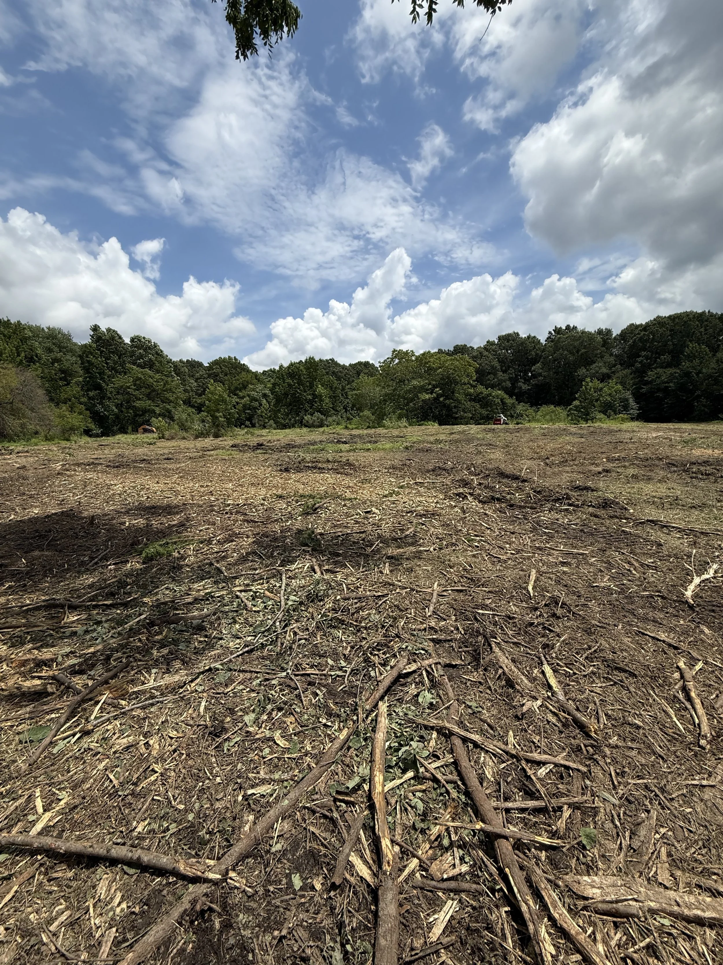 Open field with dirt and scattered sticks, bordered by green trees under a partly cloudy sky.