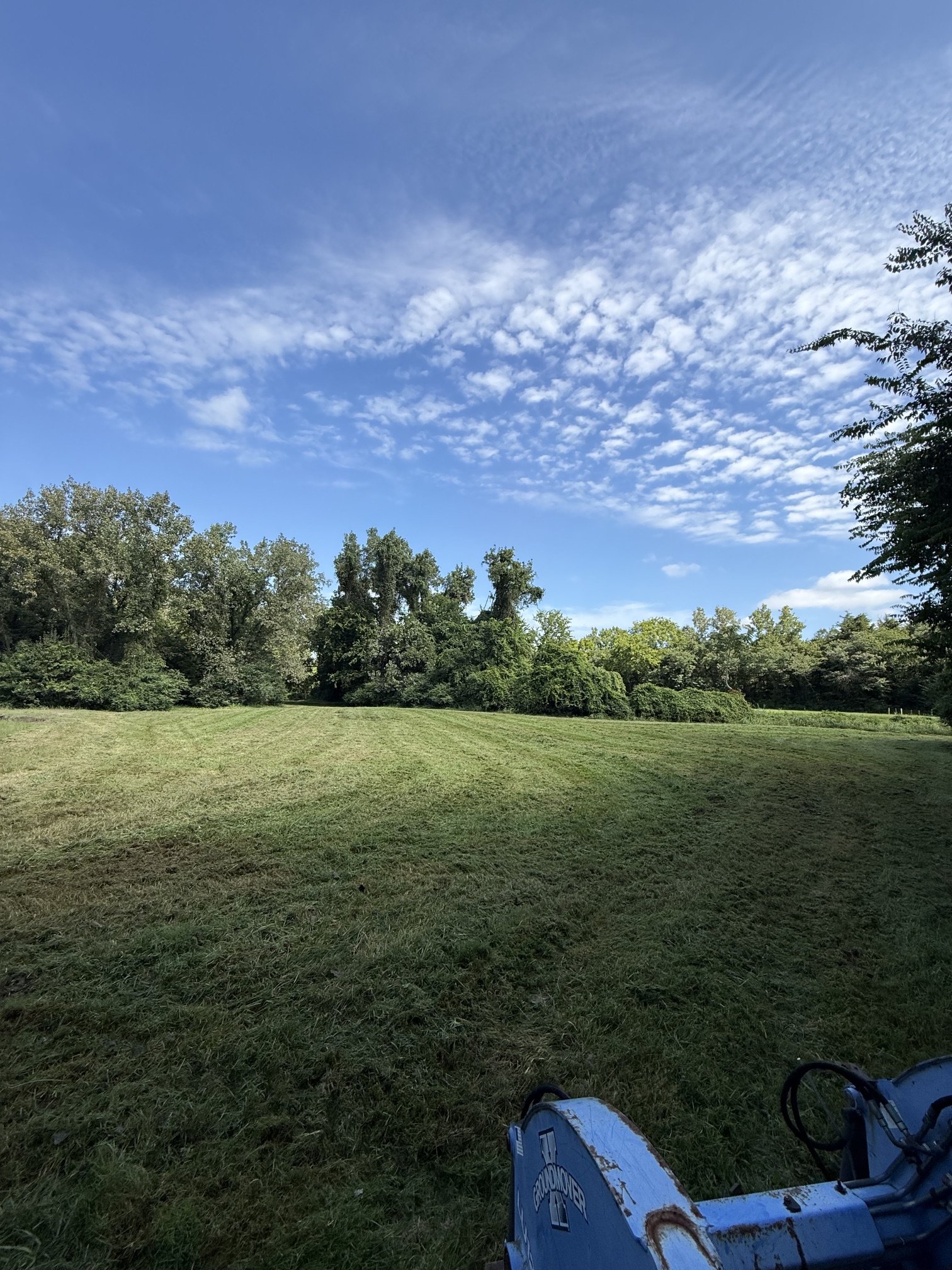 IMG_6995.jpeg