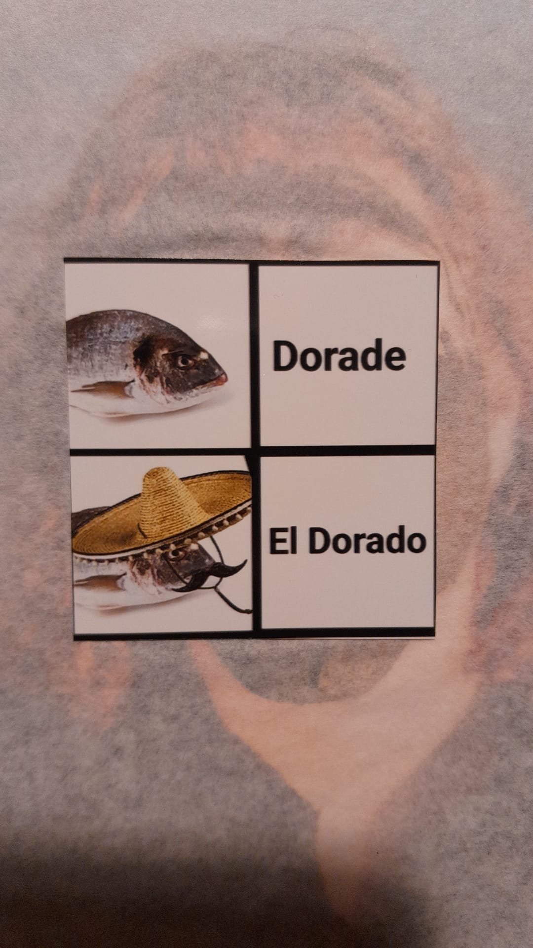 WhatsApp Image 2026-04-02 at 22.10.50.jpeg