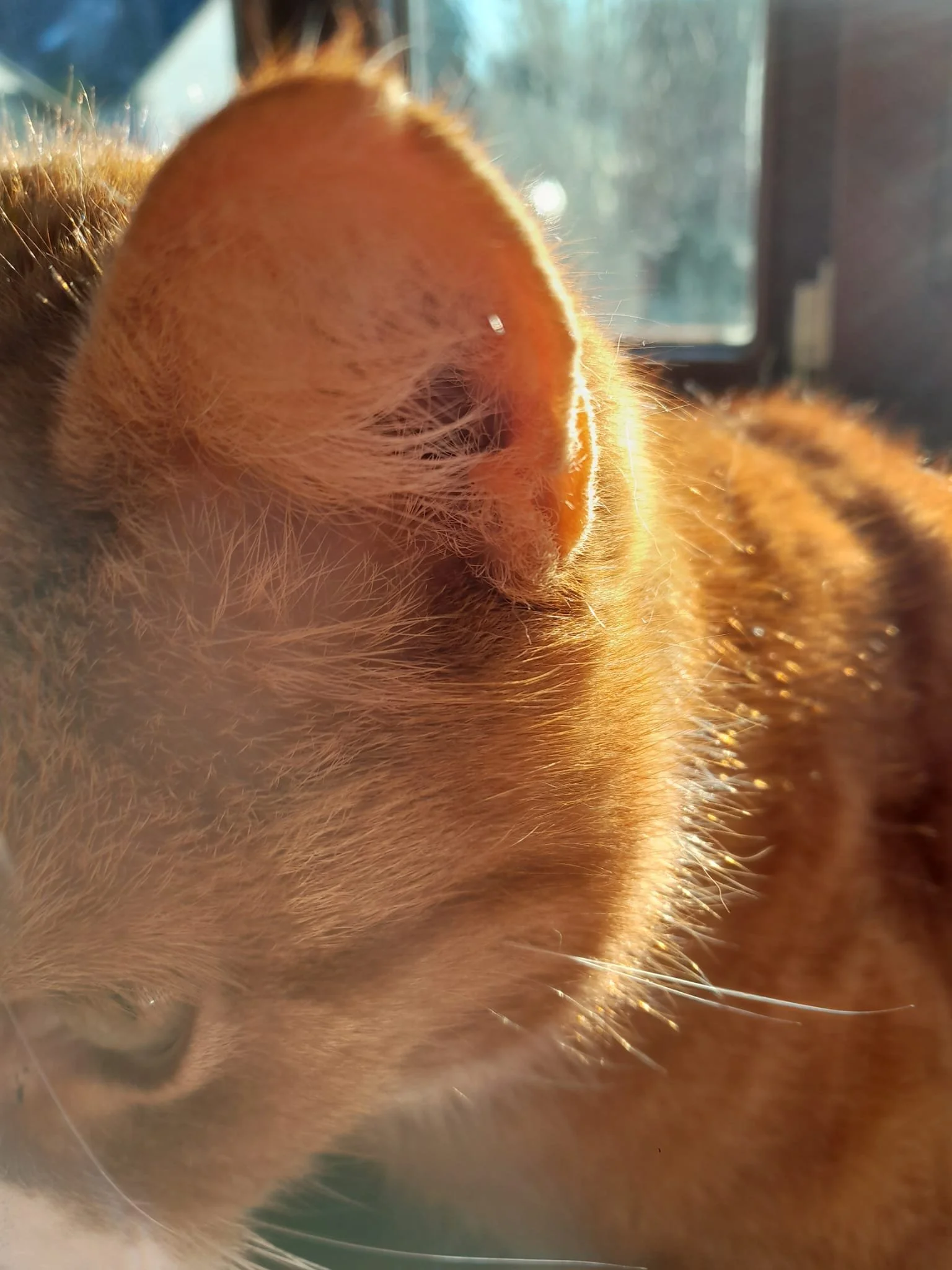 WhatsApp Image 2026-03-08 at 23.06.31(1).jpeg