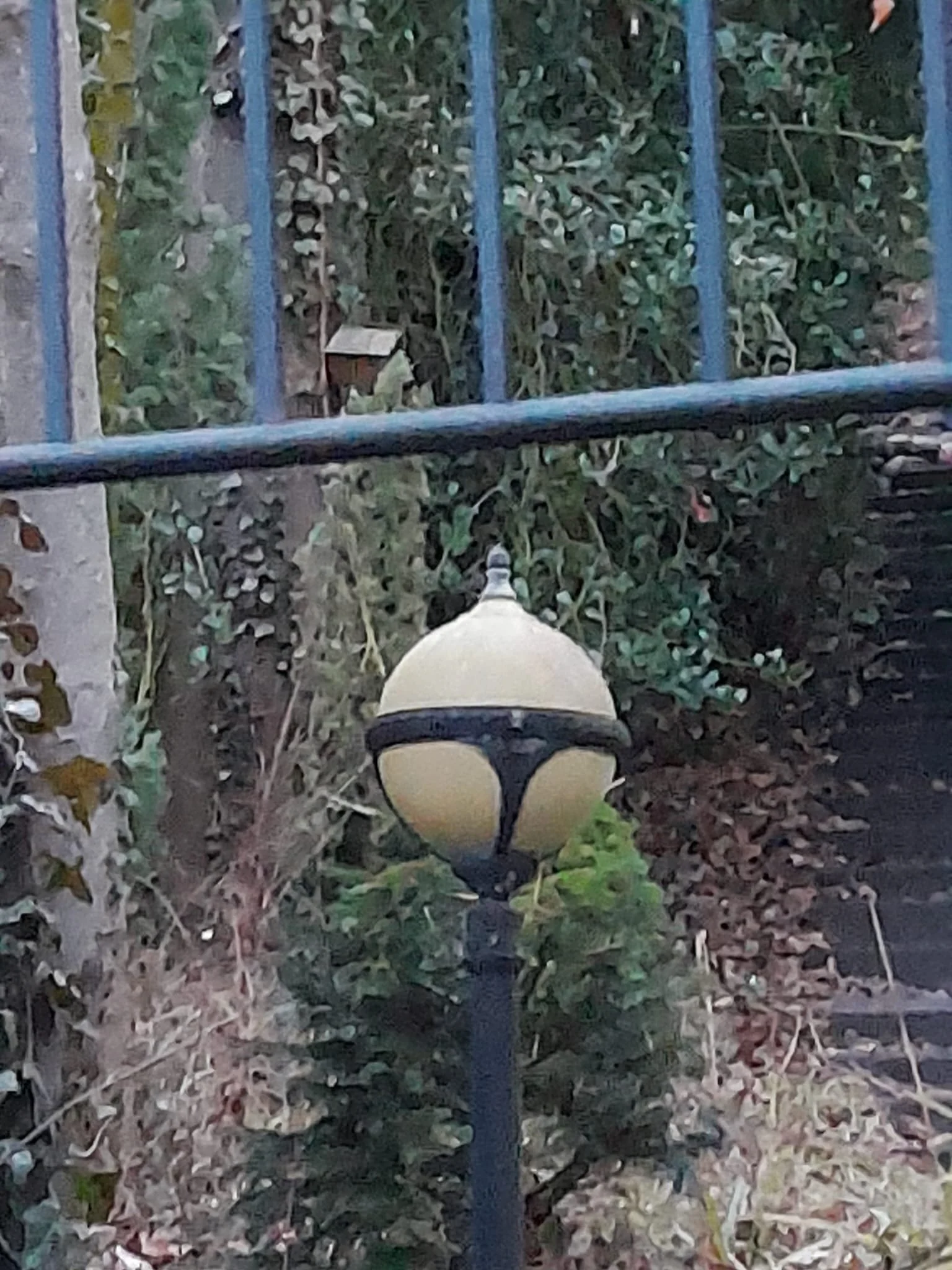 WhatsApp Image 2026-03-08 at 23.06.30.jpeg