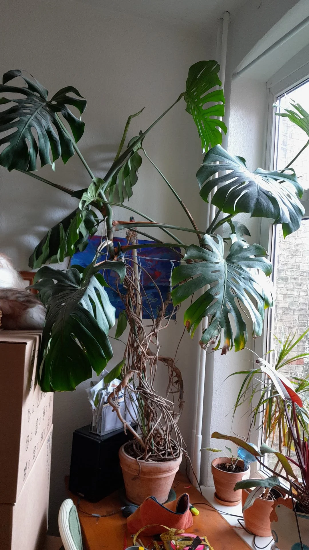 WhatsApp Image 2026-04-02 at 22.10.49 (1).jpeg