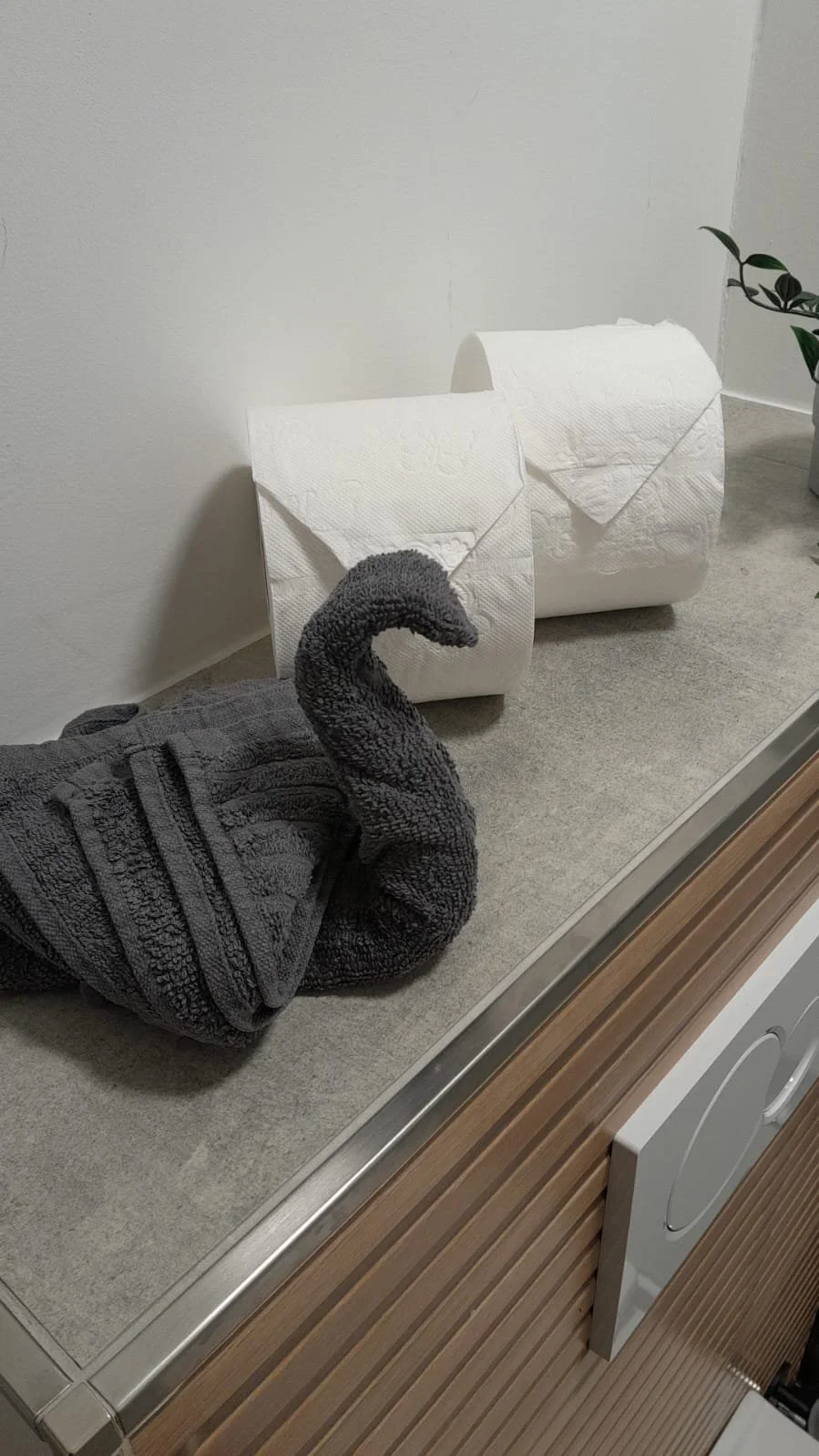 WhatsApp Image 2026-04-02 at 22.11.45.jpeg