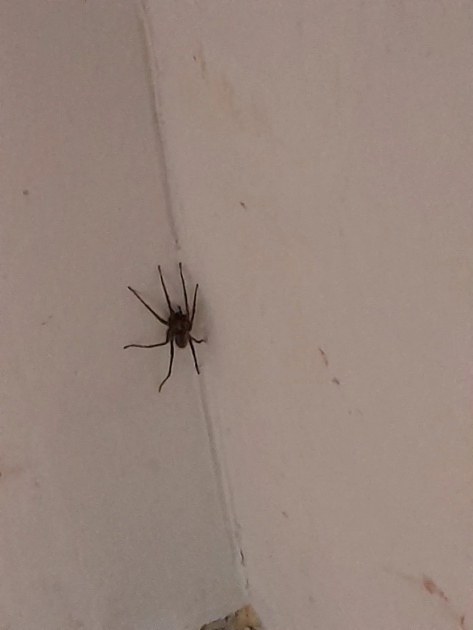 WhatsApp Image 2026-04-02 at 22.11.48.jpeg