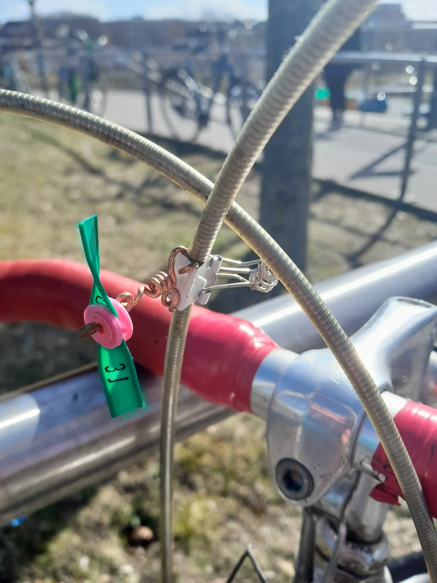 WhatsApp Image 2026-04-02 at 22.10.49 (3).jpeg