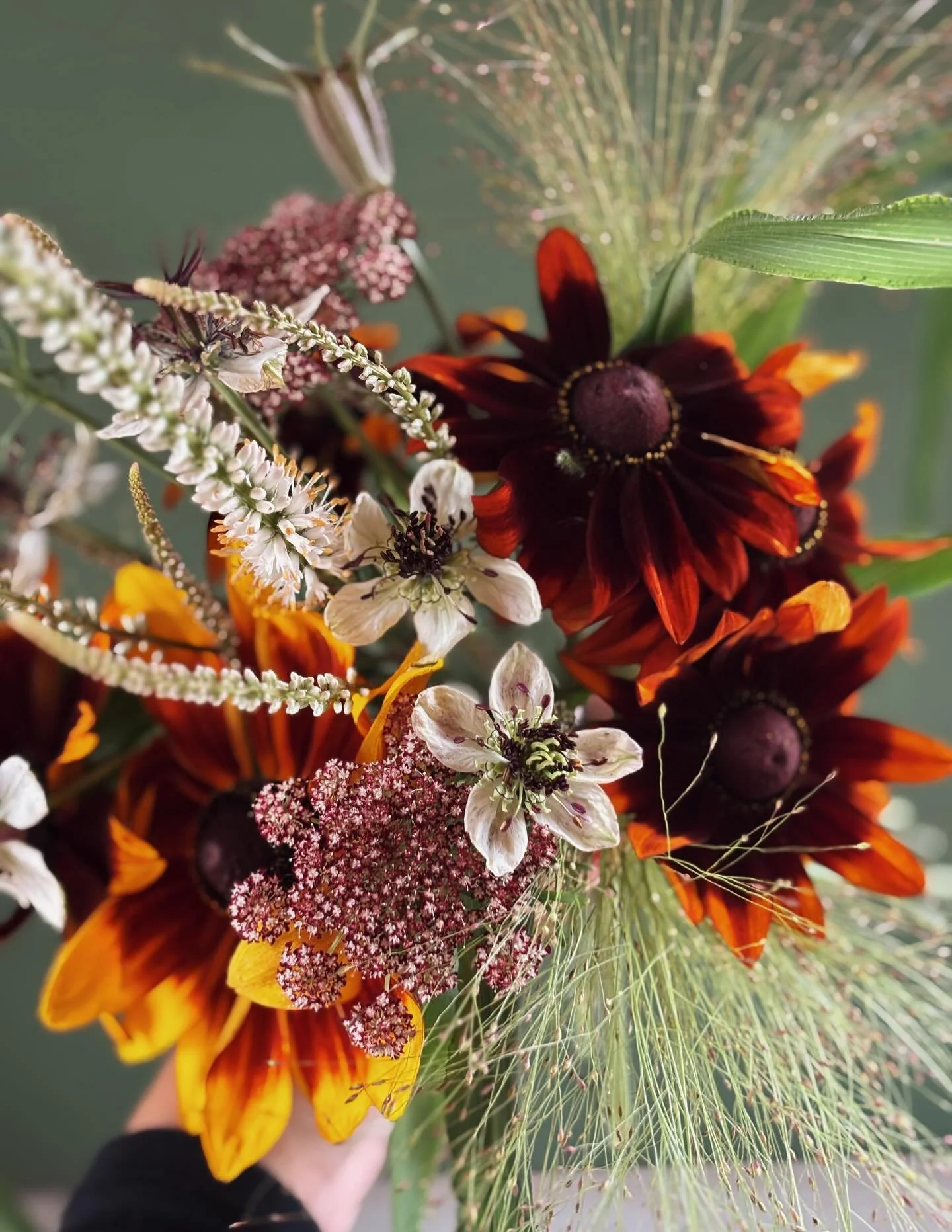 God morgon l&ouml;rdag! 🌻 

Det blommar fortsatt mycket och fint p&aring; florafarmen. P&aring; bilden syns kransveronika, sommarrudbeckia, blomstermorot, jungfrun i det gr&ouml;na &amp; jungfruhirs. 

V&auml;lkomna att plocka buketter hos oss 💛