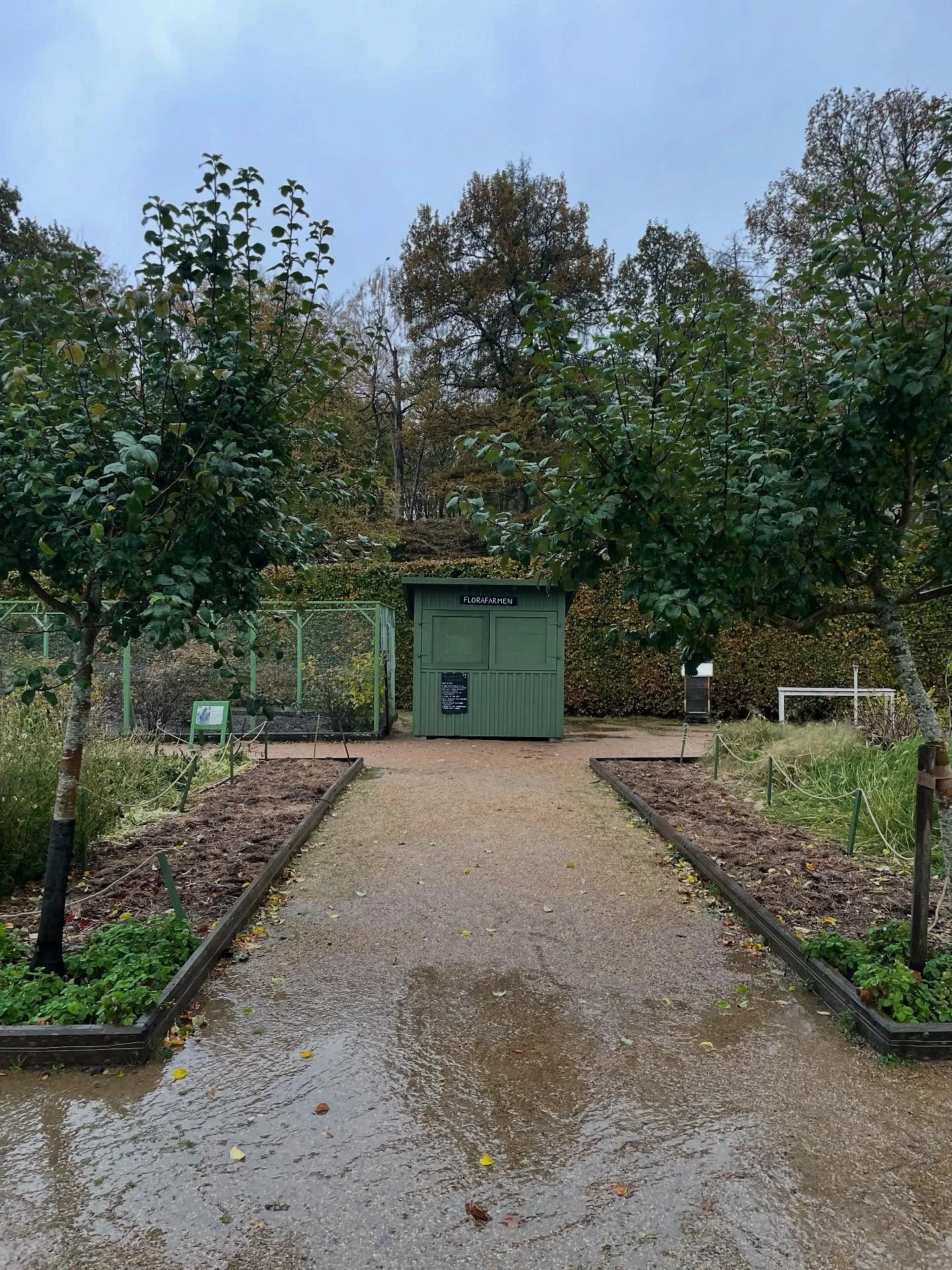 Allt k&ouml;tt &auml;r h&ouml; och blomstren d&ouml; och tiden har nu f&ouml;rdrivit Florafarmen till st&auml;ngning f&ouml;r i &aring;r. Idag var den stora st&auml;ngningsdagen, samt den stora dahliakn&ouml;luppgr&auml;vardagen. Alla 42 kn&ouml;lar 