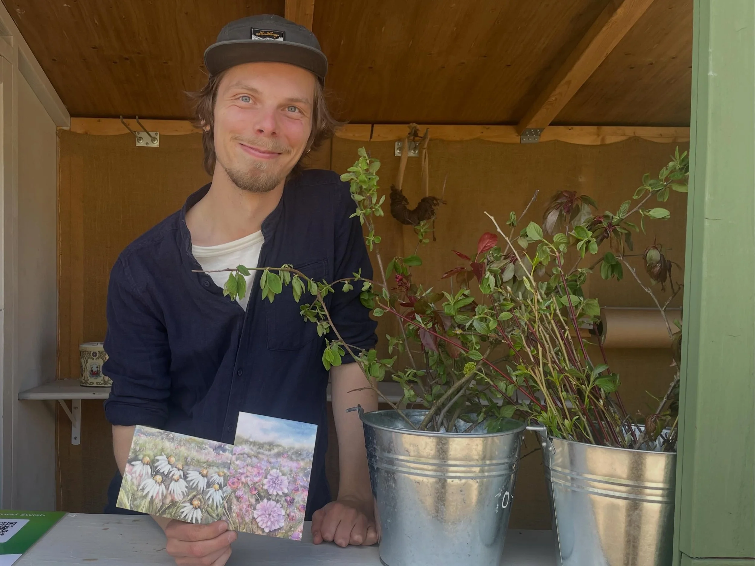 Konstn&auml;ren och s&ouml;tnosen Alexander Brod&eacute;n kommer att m&aring;la akvareller av Florafarmens blommor under s&auml;songen. Dessa akvareller ska s&auml;ljas som vykort i v&aring;r bod. 

Redan nu finns tv&aring; akvareller i vykortsformat