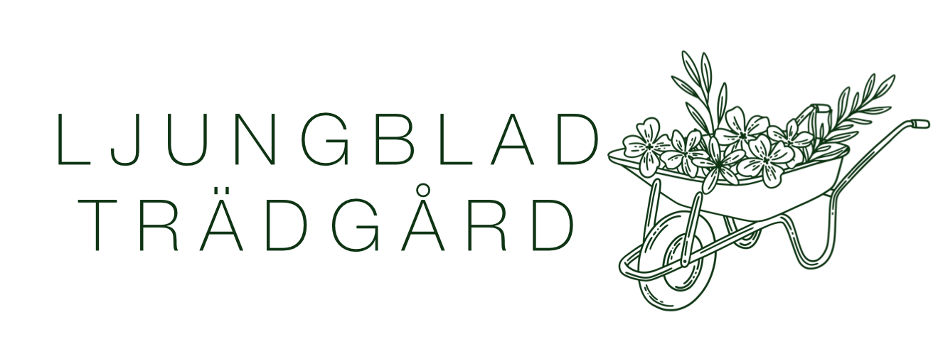 Ljungblad Trädgård