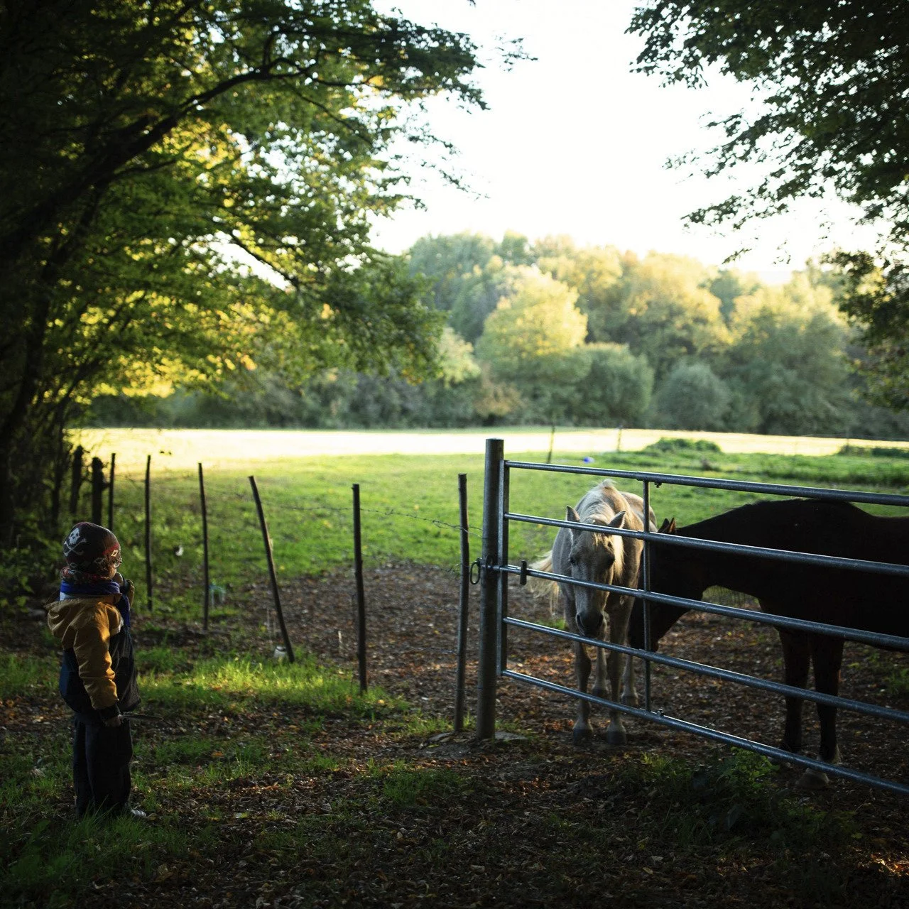 *RENCONTRE*

Automne 2025

&copy;marie pierson