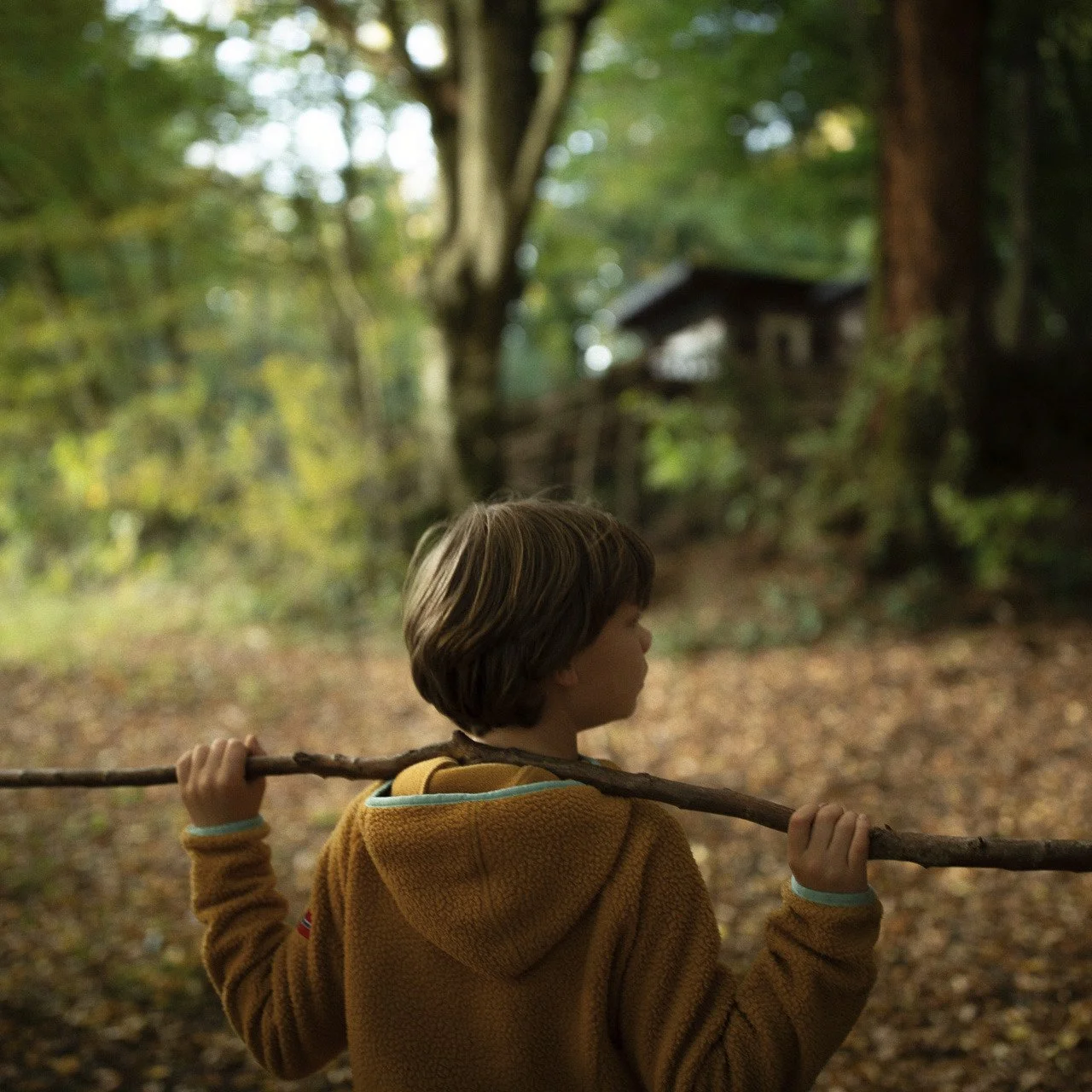 For&ecirc;t du Berry. Automne 2025.

&copy;marie pierson