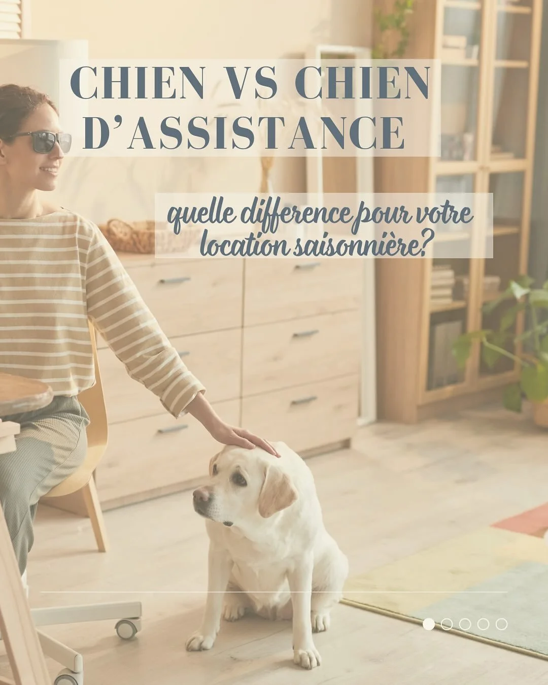 Beaucoup de propri&eacute;taires l&rsquo;ignorent&hellip; et pourtant, c&rsquo;est une r&egrave;gle importante 👀
Savoir accueillir, c&rsquo;est aussi savoir faire la diff&eacute;rence entre un animal de compagnie et un chien d&rsquo;assistance 🦮
Ch