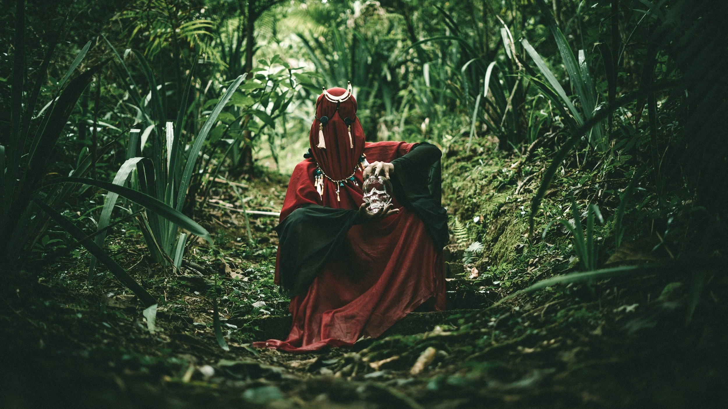 Fotografia de artistas em Florianópolis