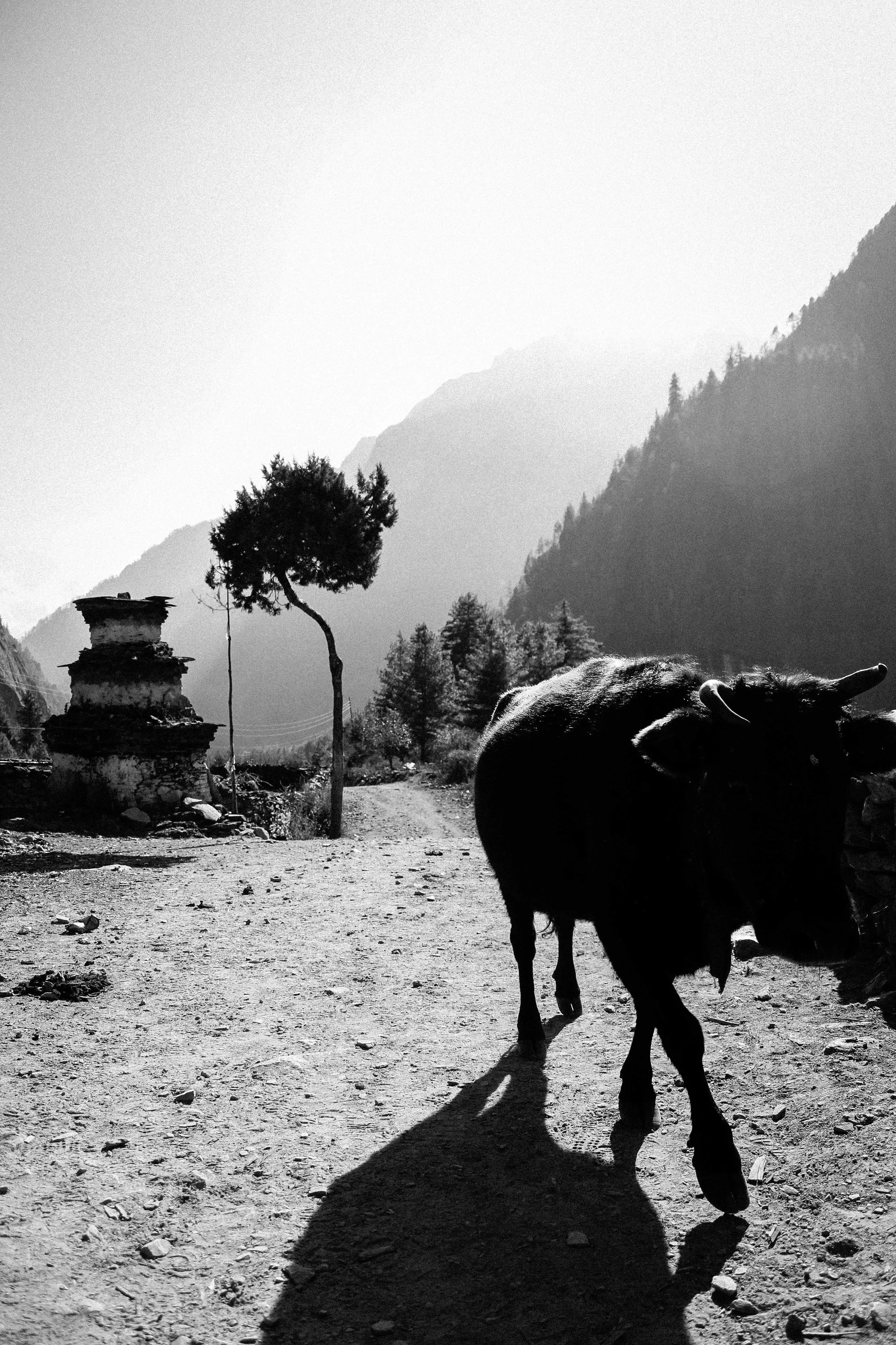 Fotografia artística em Floripa (Florianópolis)