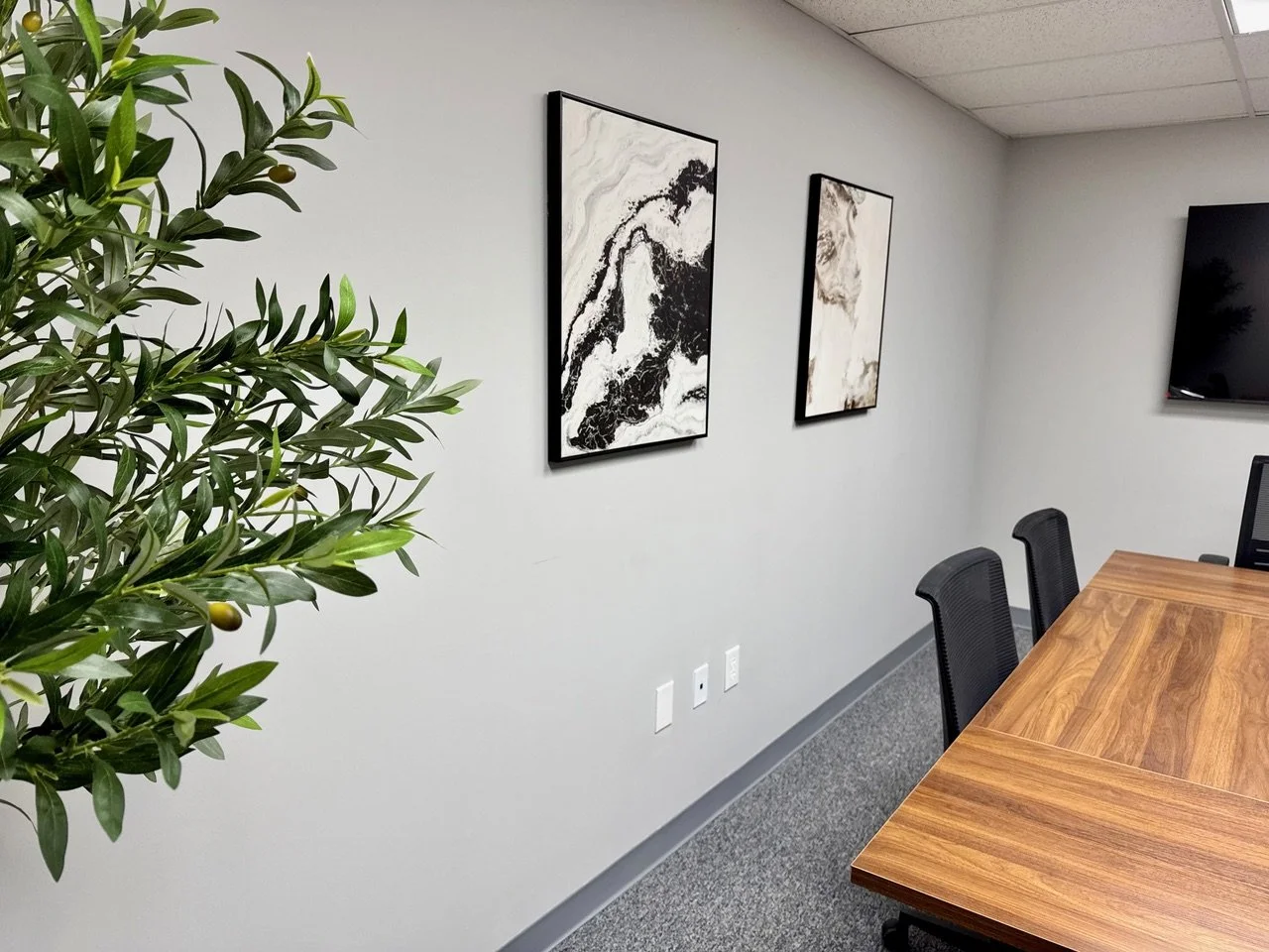 A modern conference room with a wooden table, black chairs, wall-mounted abstract art, a television, and a large green leafy plant.