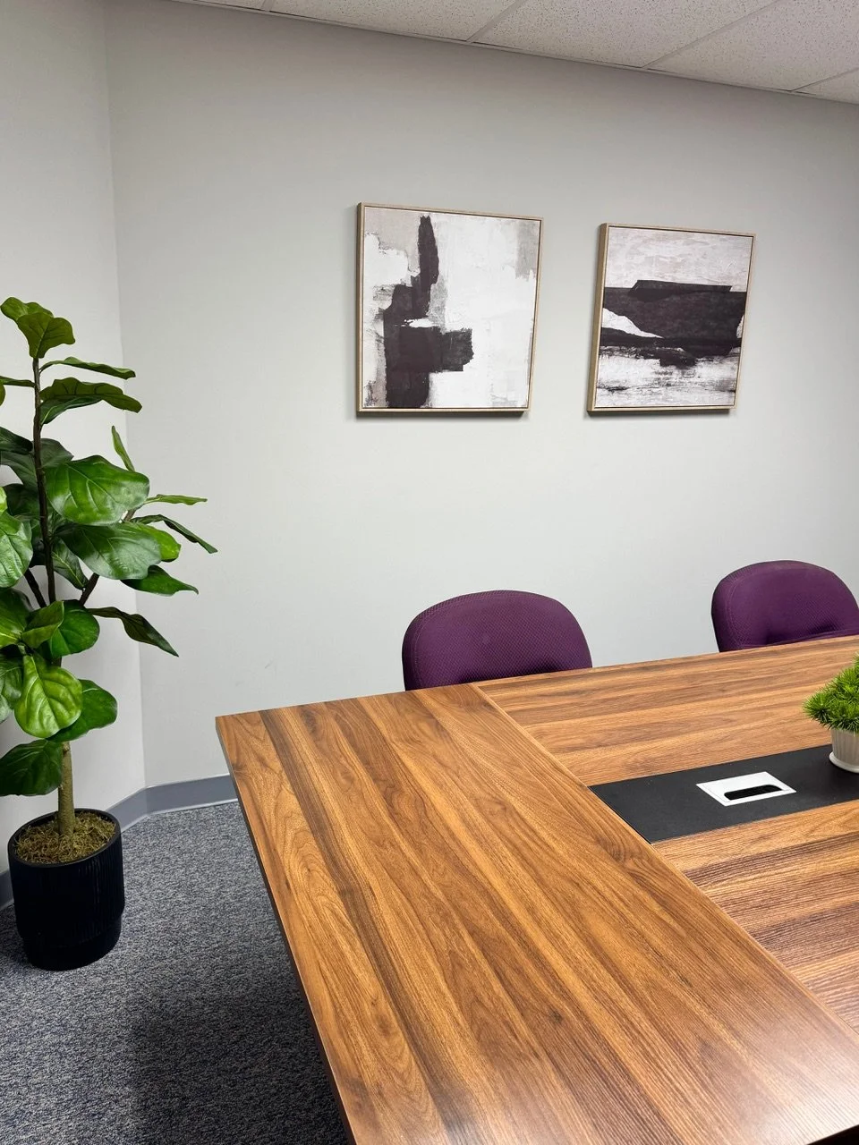 A conference room with a large wooden table, two purple chairs, a potted green plant, and two abstract black and white paintings on a light-colored wall.