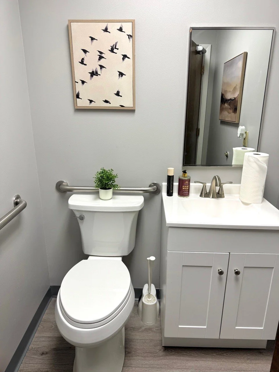 A small bathroom with a white toilet, a cabinet with a sink, a mirror, a small potted plant, and wall art of flying birds.