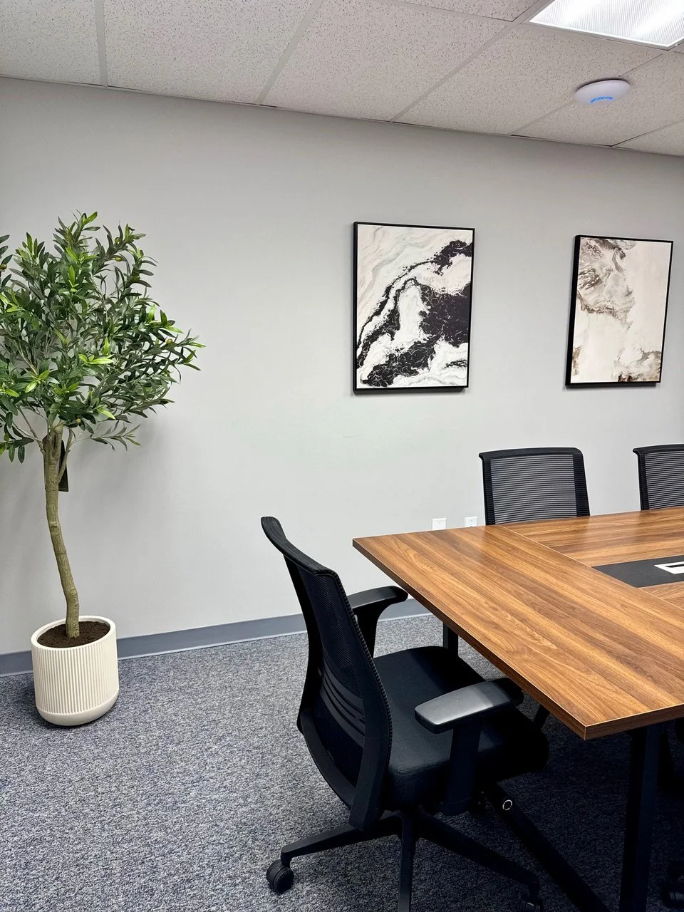 Office conference room with a wooden table, black mesh chairs, a potted plant, and two abstract black and white paintings on the wall.