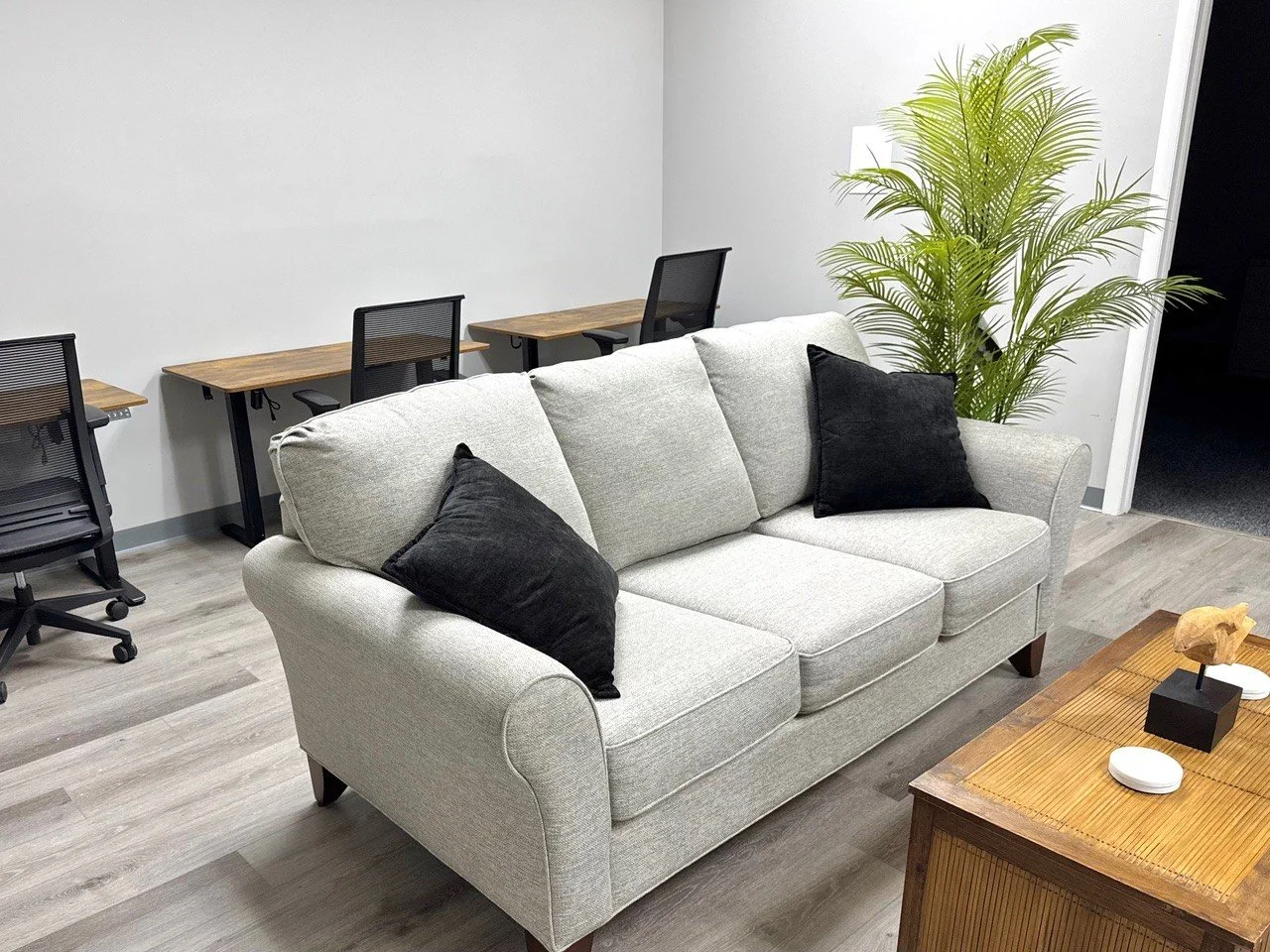 Modern office or lounge area with a light gray sofa, black pillows, a wooden coffee table with decor, a potted plant, and a row of desks with black mesh chairs along a white wall.