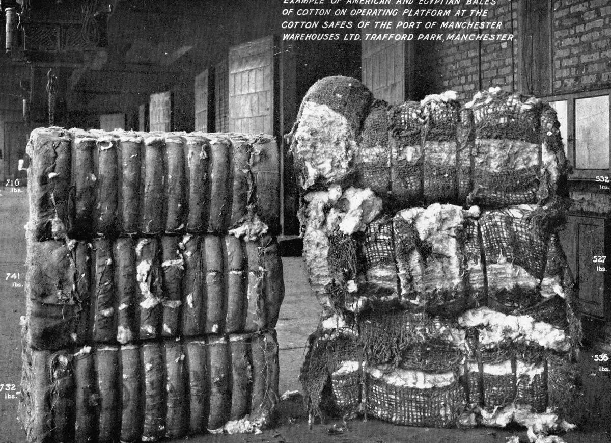 A third of a tonne&hellip; in a single bale of cotton!!

Today is World Cotton Day, and this photograph from 1920 gives some idea of the sheer weight of the industry that helped shape Manchester.

These Egyptian and American cotton bales were photogr
