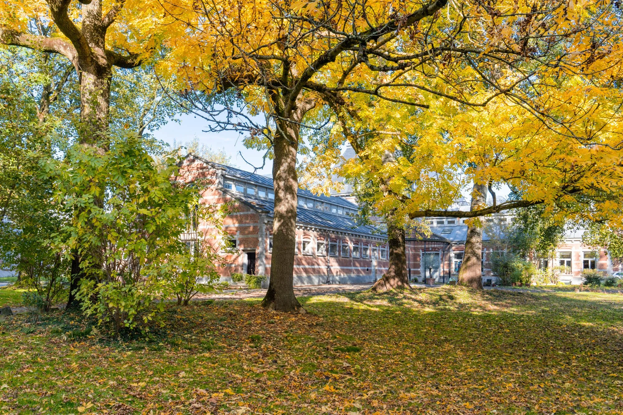 DSC09103-HDR.jpg
