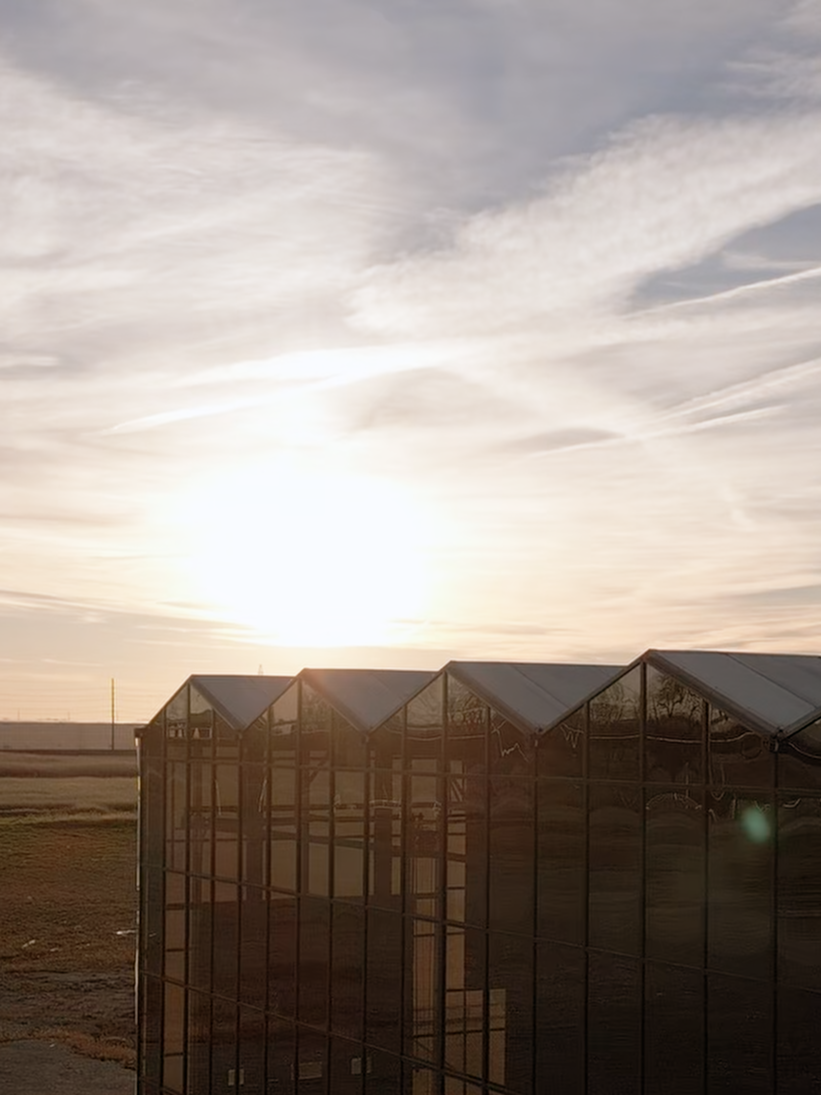 SUN MEETS SCIENCE, INSIDE OUR HYBRID GREENHOUSE