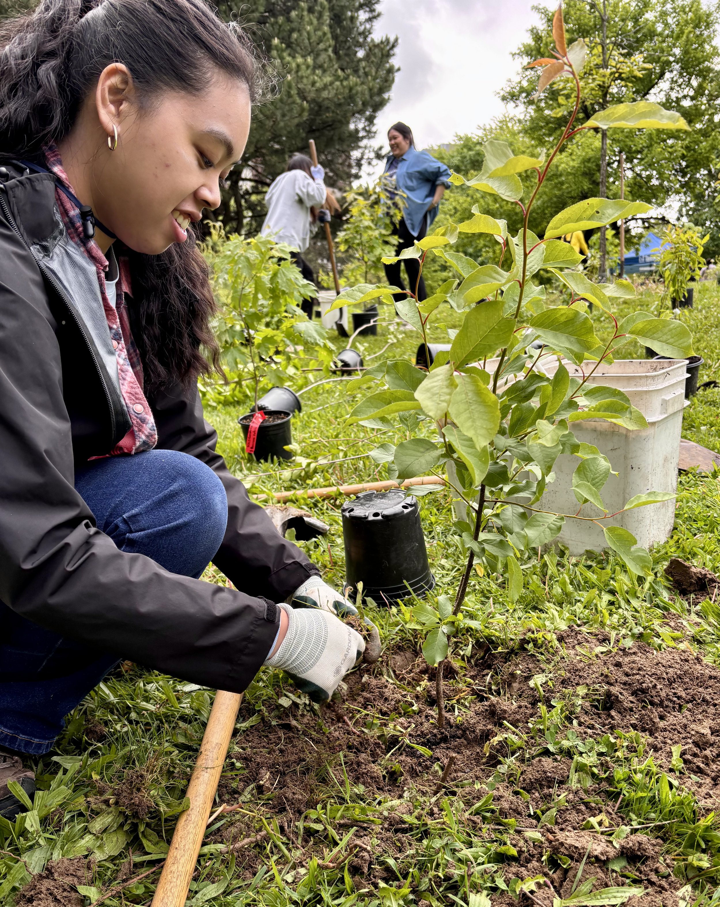 Group of people planting young trees in a garden, surrounded by gardening tools and potted plants, on a cloudy day.