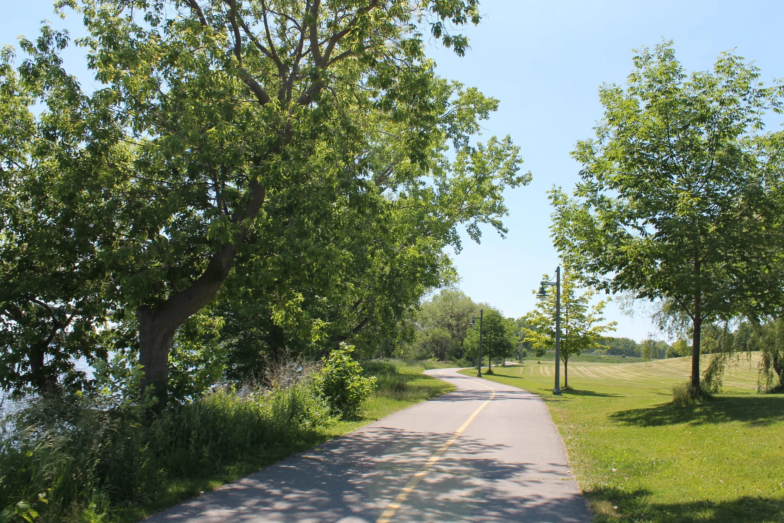 A paved walking trail with a yellow center line winding through a park, lined with green trees and grass on a sunny day.
