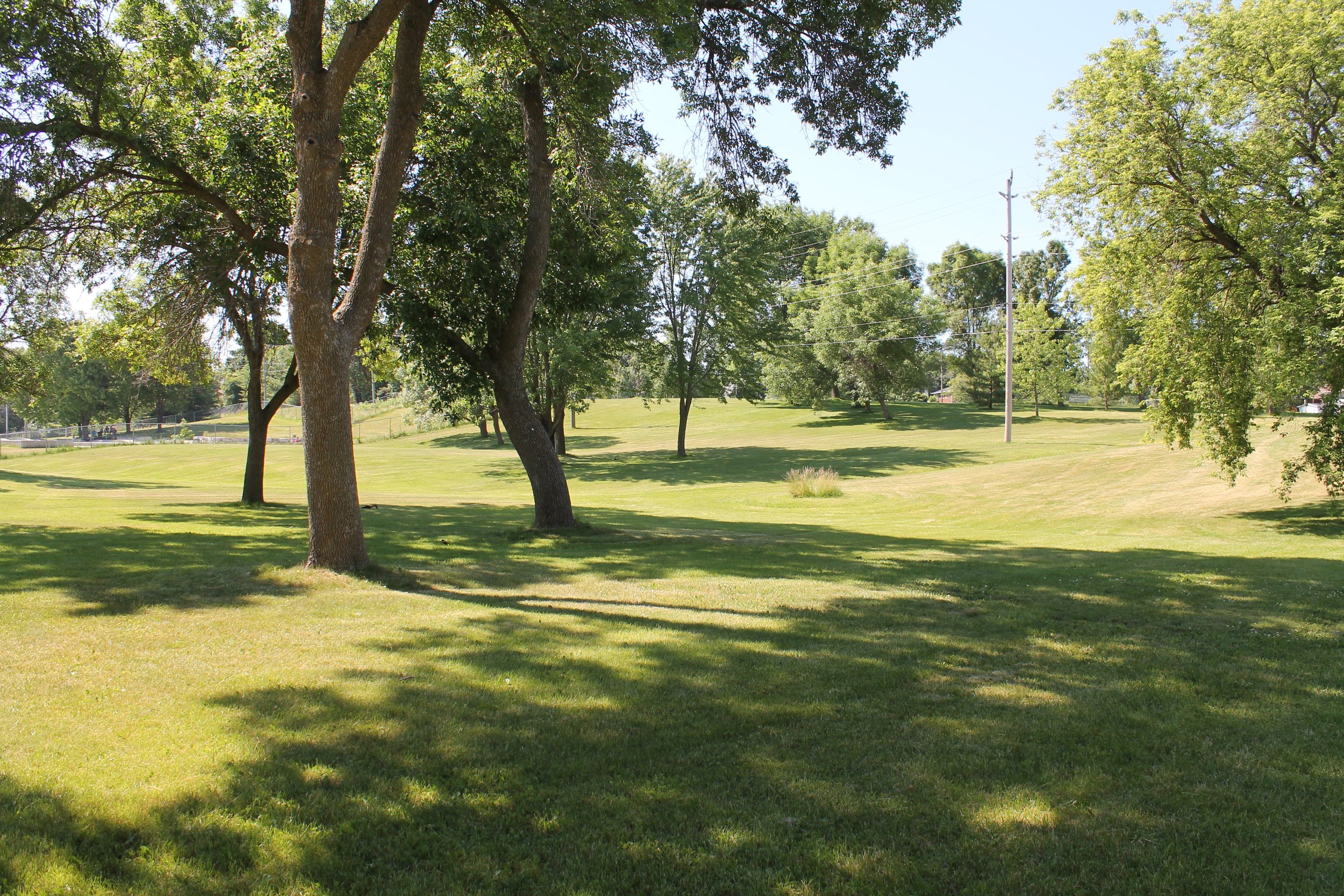 A sunny park scene with green grass, several large trees casting shadows, and a few more trees and a utility pole in the background.