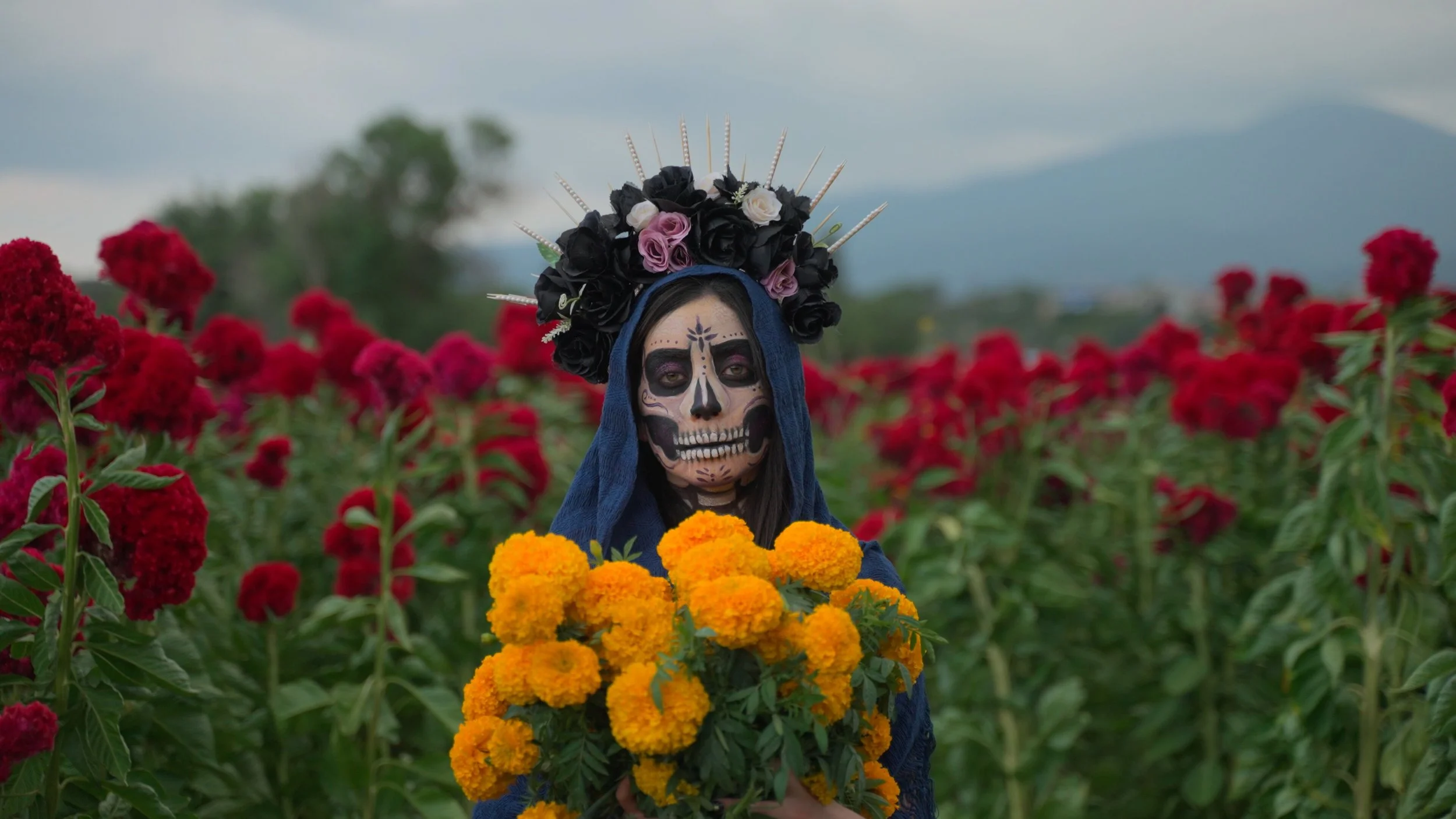 Muertos_Rec709_1.5.1.jpg