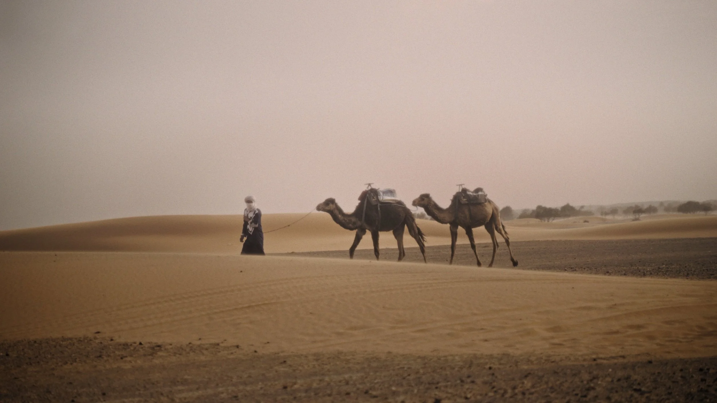 Deserto_Final_1.9.1.jpg