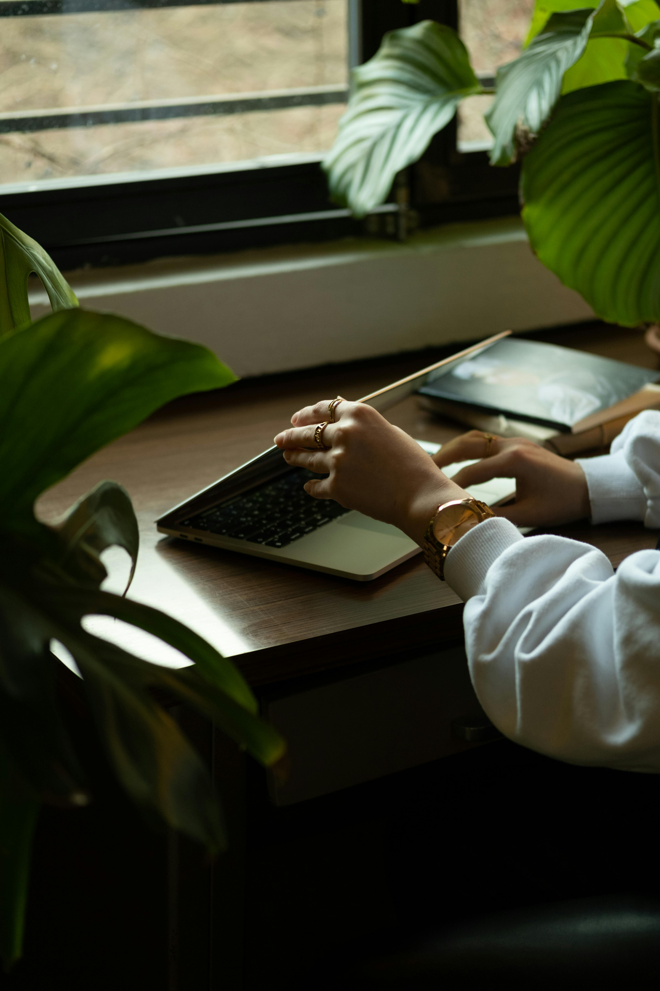 Person in a white long-sleeve shirt working on a laptop at a wooden desk, surrounded by large green plants near a window.