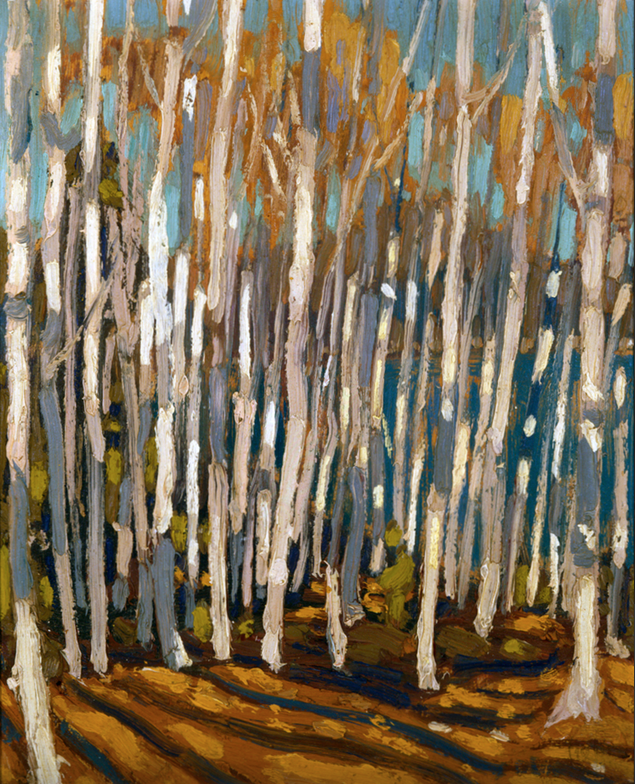 tomthomsonbirchesalgonquinpark.png