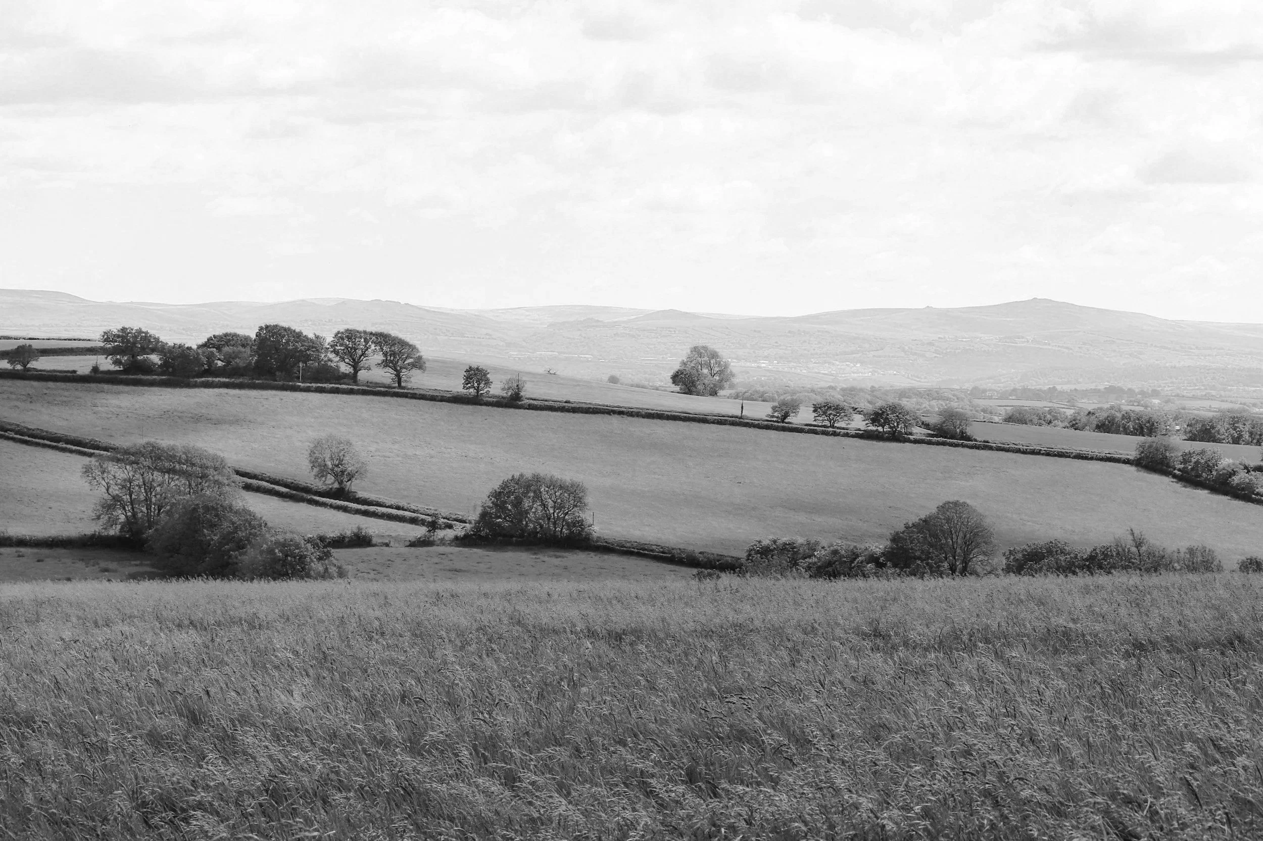 Small Group Classical Coaching with Jade Hueson 