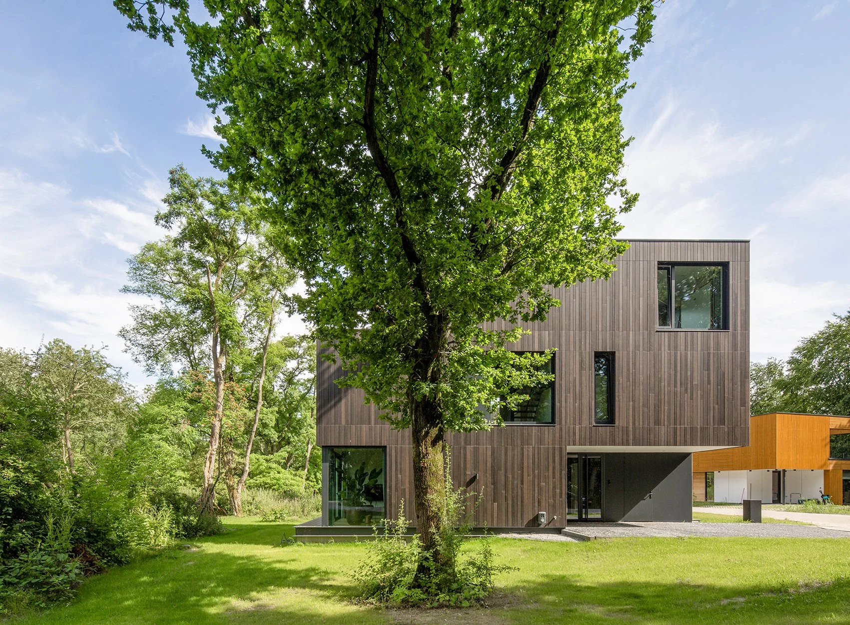 Moderne woning naast een grote groene boom op een gazon met een heldere blauwe hemel.
