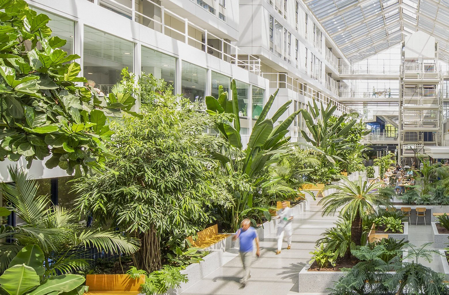 Binnenruimte met veel groene planten, mensen die lopen en eten, en een hoge glazen dak in een moderne bebouwde omgeving.