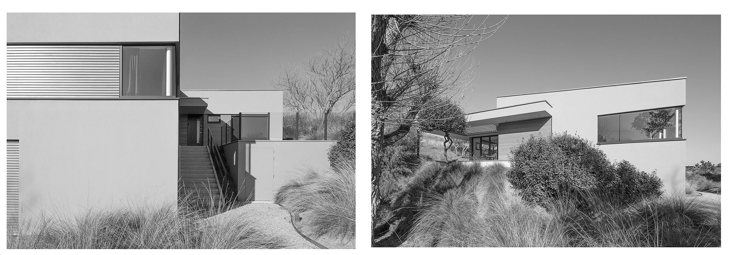 Moderne witte huizen met grote ramen en natuurlijke landscaping, zwart-wit foto's.