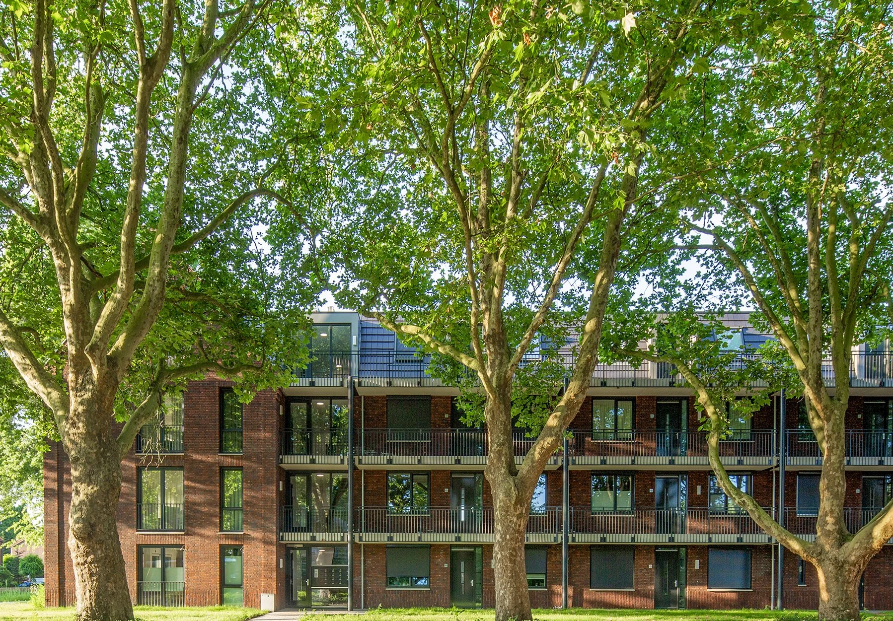 Drie grote groene bomen voor een modern appartementengebouw met balkons en glazen ramen gefotografeerd door architectuurfotograaf John van Groenedaal.