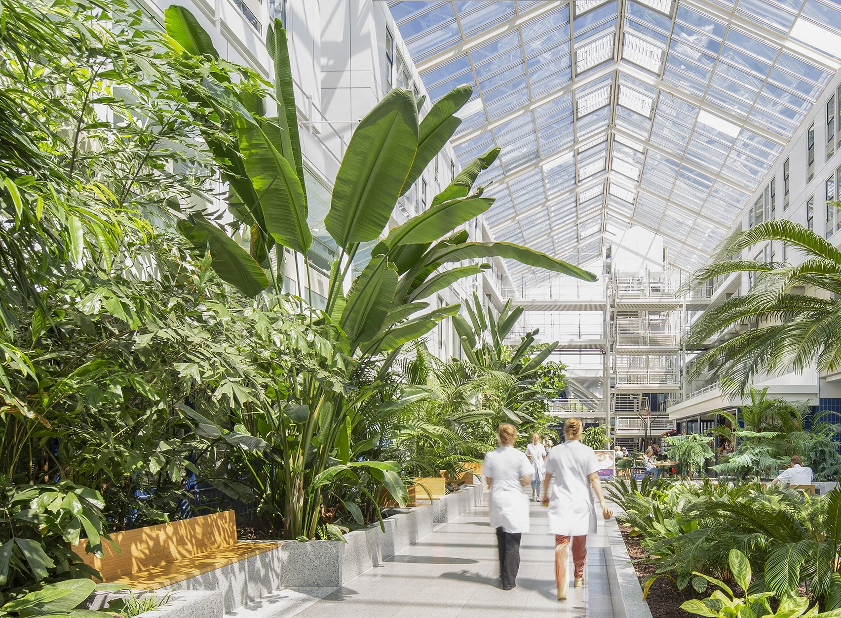 Binnenplaats van een kassencomplex met veel groen en drie mensen in witte uniformen die wandelen. Het interieur heeft een glazen dak en meerdere verdiepingen.
